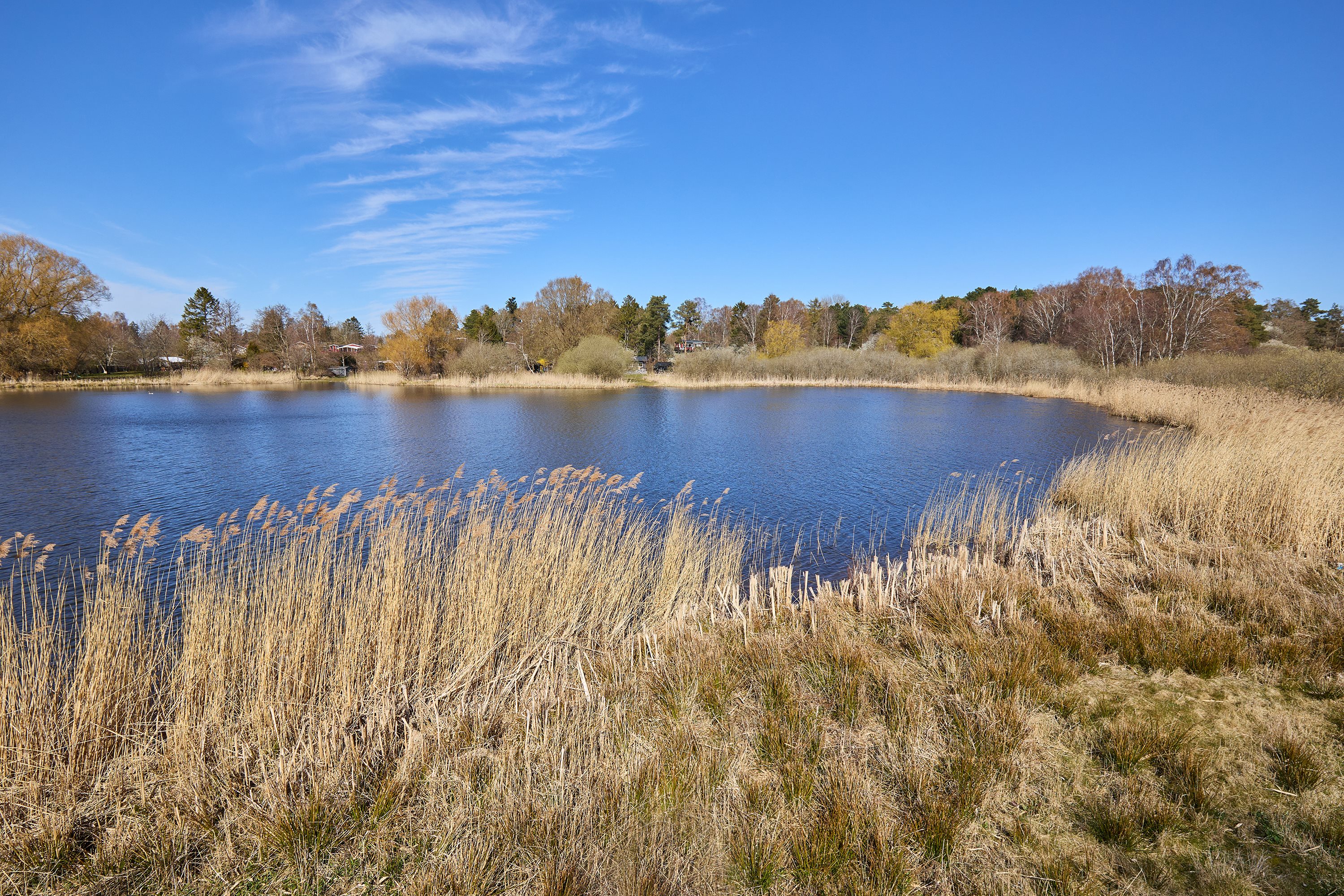 Fremhævet have billede i fuldskærmstilstand. Billede af Hejrevej 29, Kulhuse, 3630 Jægerspris