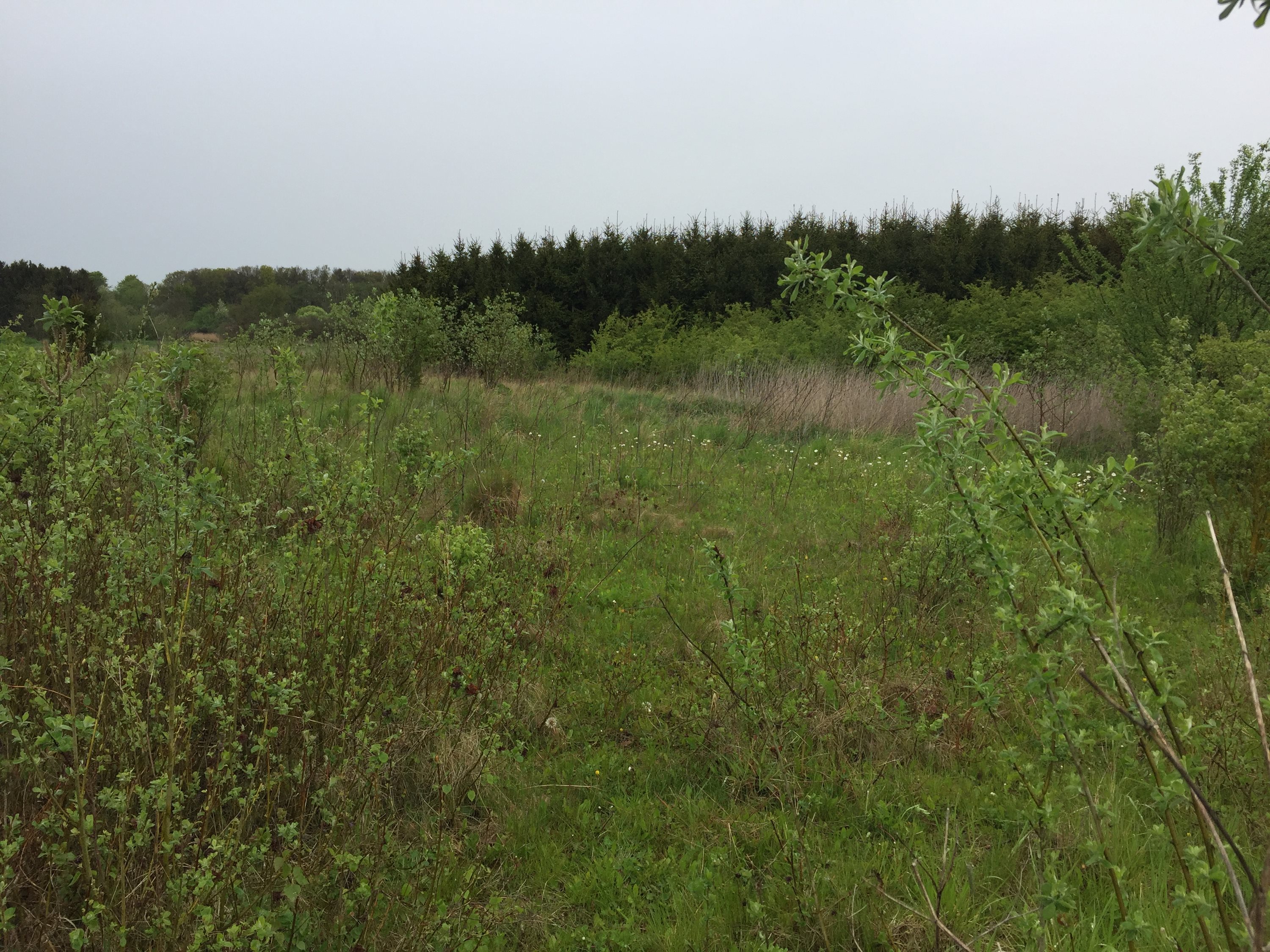 Fremhævet  billede i fuldskærmstilstand. Billede af Bjæverskovvej, 4632 Bjæverskov