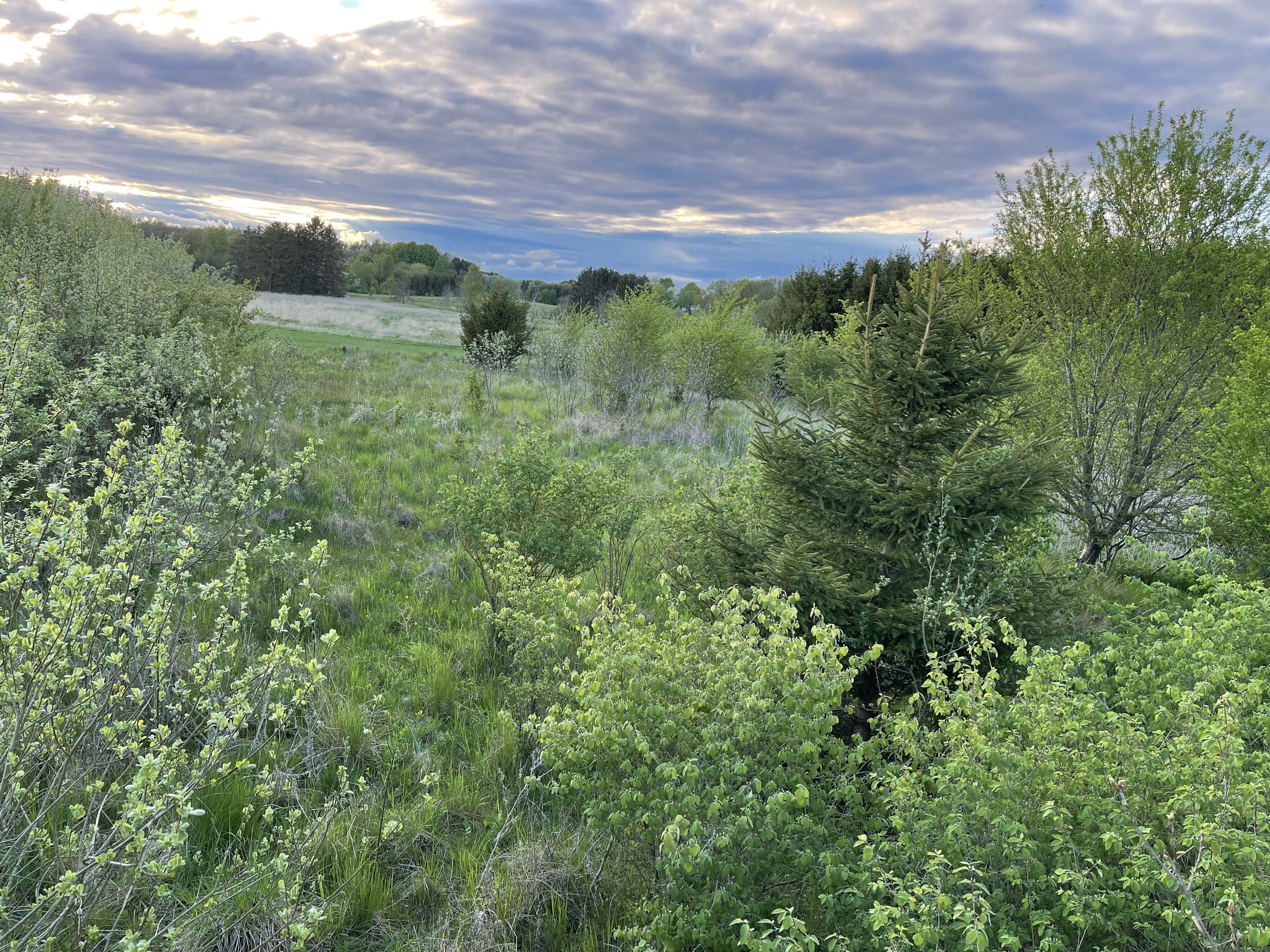 Fremhævet  billede i fuldskærmstilstand. Billede af Bjæverskovvej, 4632 Bjæverskov