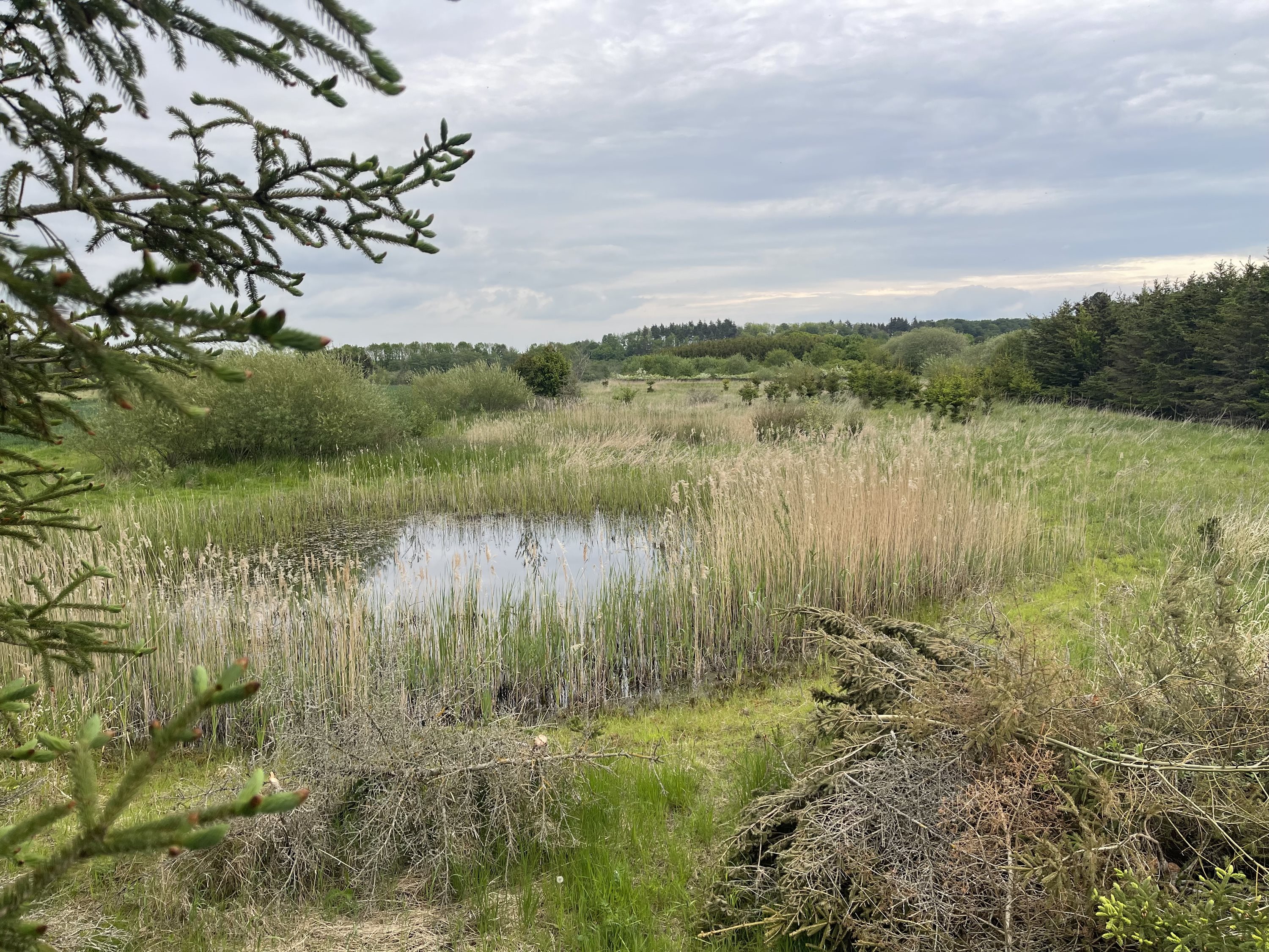 Fremhævet  billede i fuldskærmstilstand. Billede af Bjæverskovvej, 4632 Bjæverskov