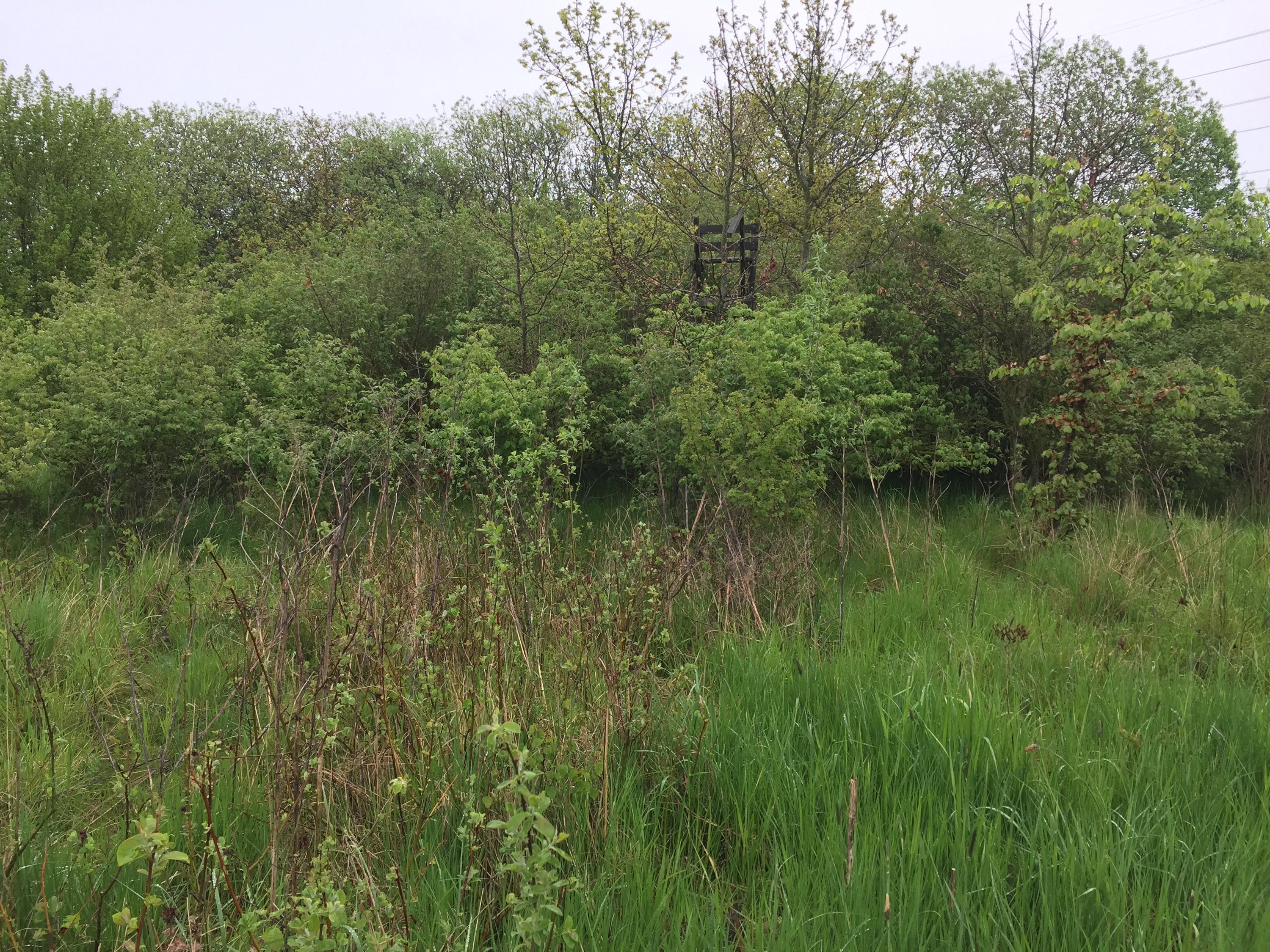 Fremhævet  billede i fuldskærmstilstand. Billede af Bjæverskovvej, 4632 Bjæverskov