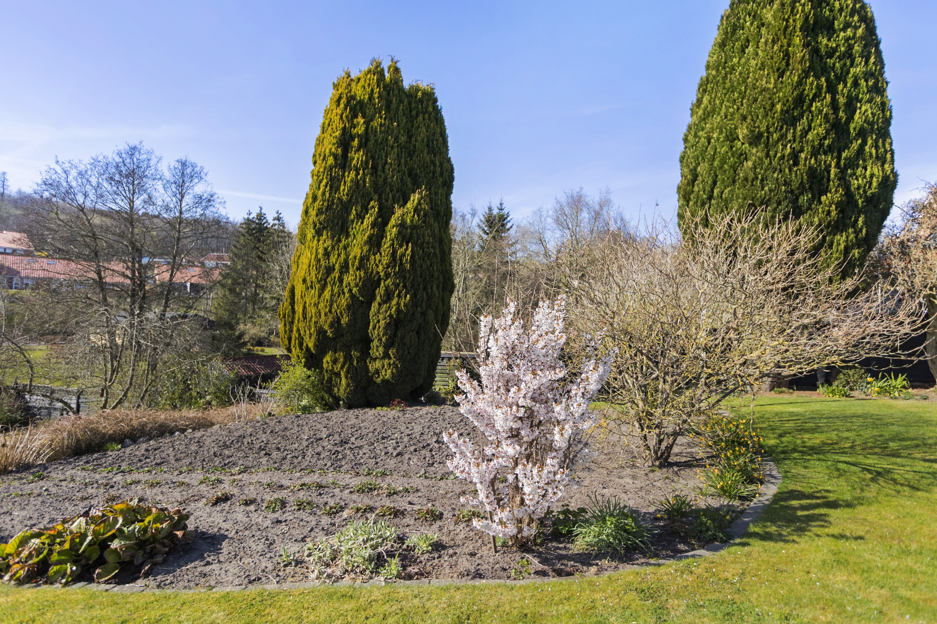 Fremhævet område billede i fuldskærmstilstand. Billede af Lindbjerg 43, 6200 Aabenraa