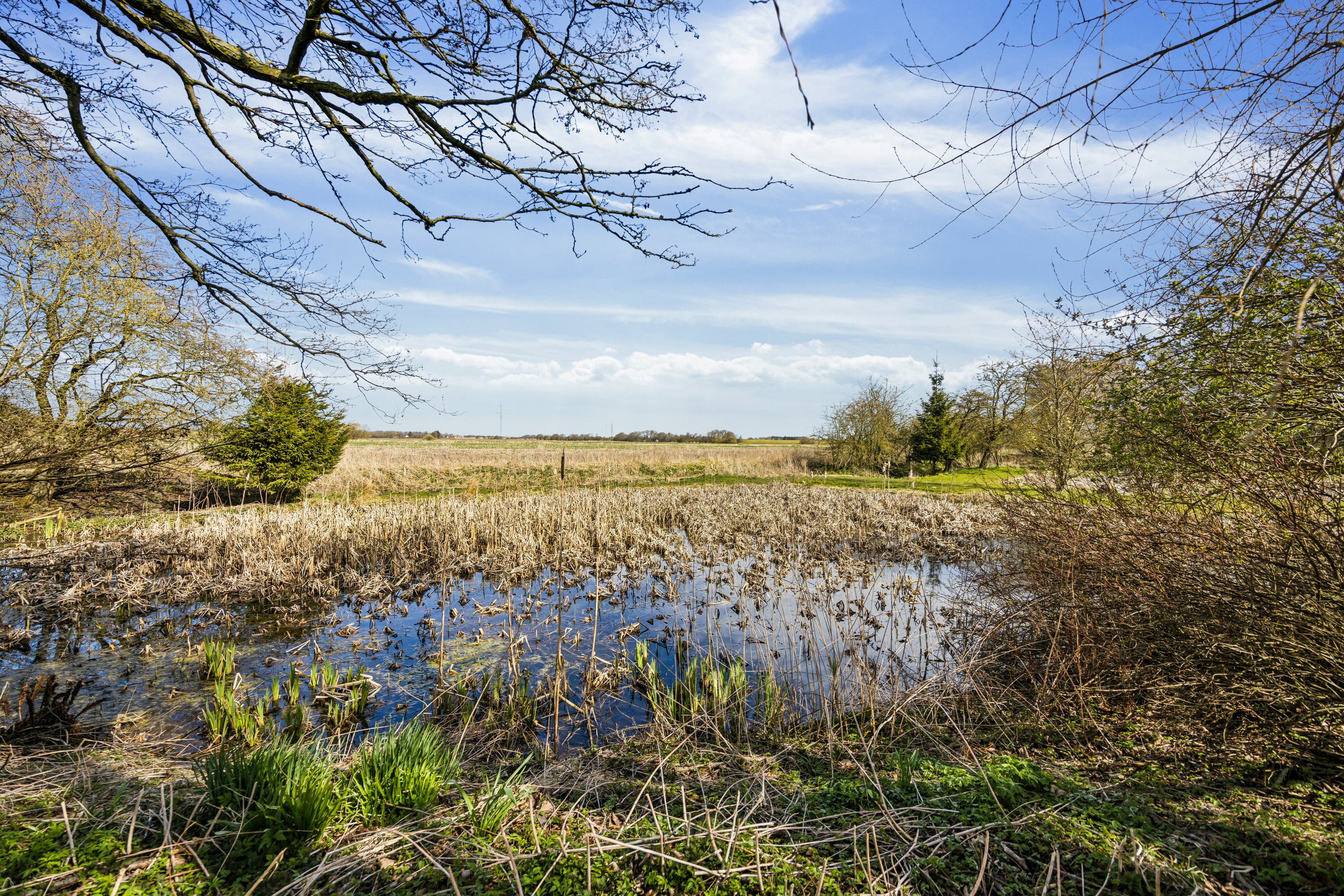 Fremhævet have billede i fuldskærmstilstand. Billede af Rørholtvej 72, Ulsted, 9370 Hals