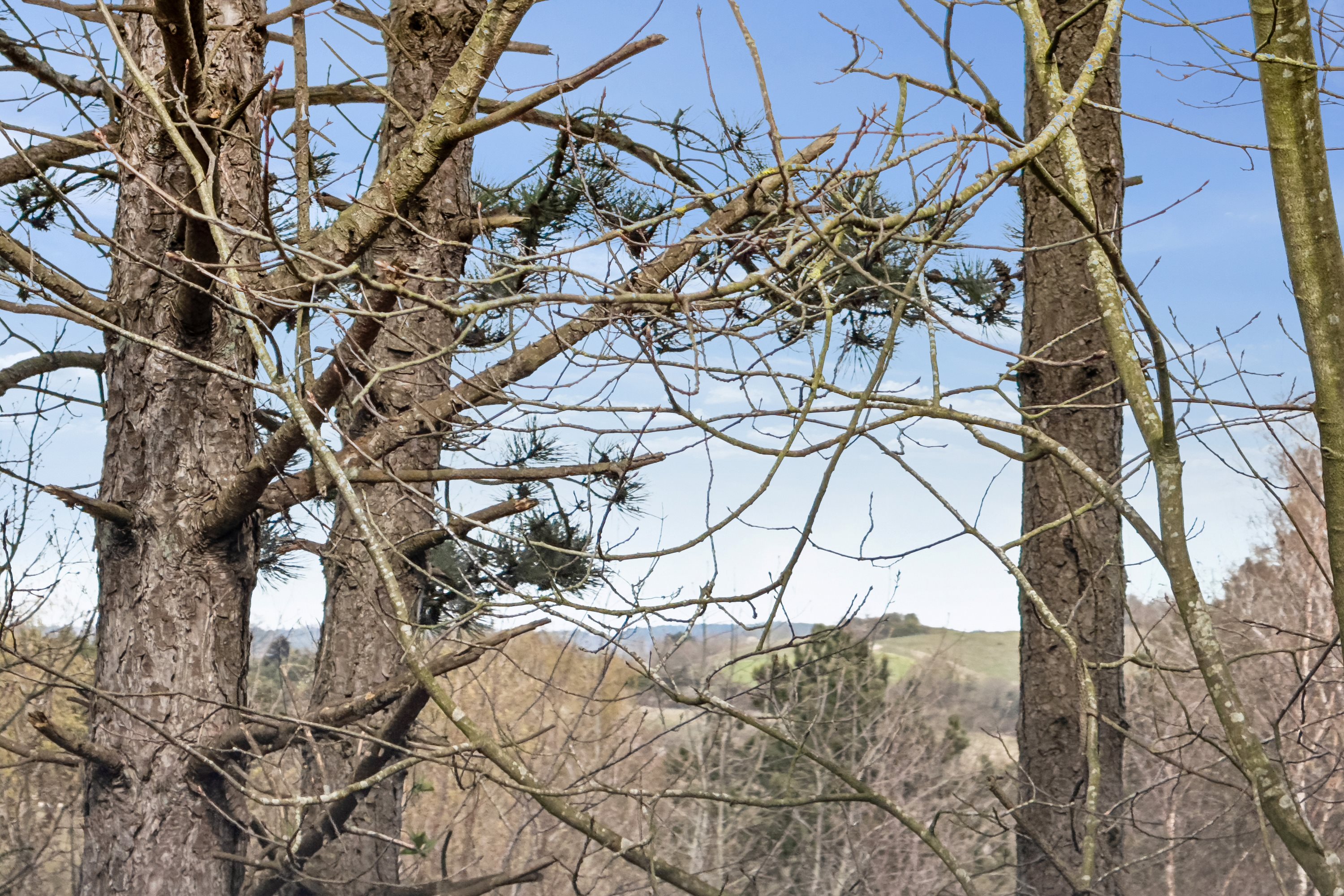 Miniaturebillede 2: luftfoto. Billede af Hovedvangen 23, Boeslum, 8400 Ebeltoft