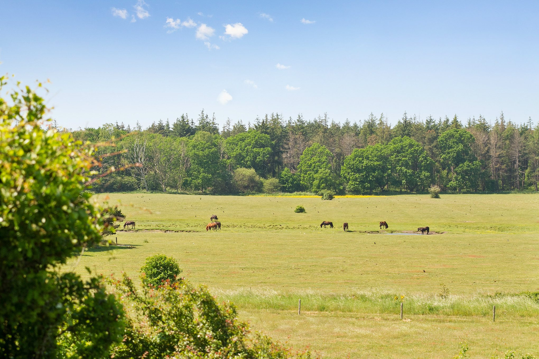 Fremhævet omgivelser billede i fuldskærmstilstand. Billede af Skovløbervej 29, Klint, 4500 Nykøbing Sj