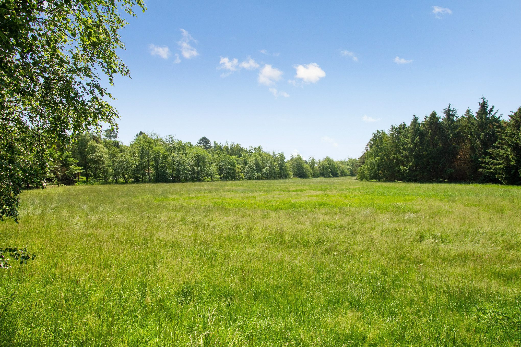 Fremhævet grund billede i fuldskærmstilstand. Billede af Skovløbervej 29, Klint, 4500 Nykøbing Sj