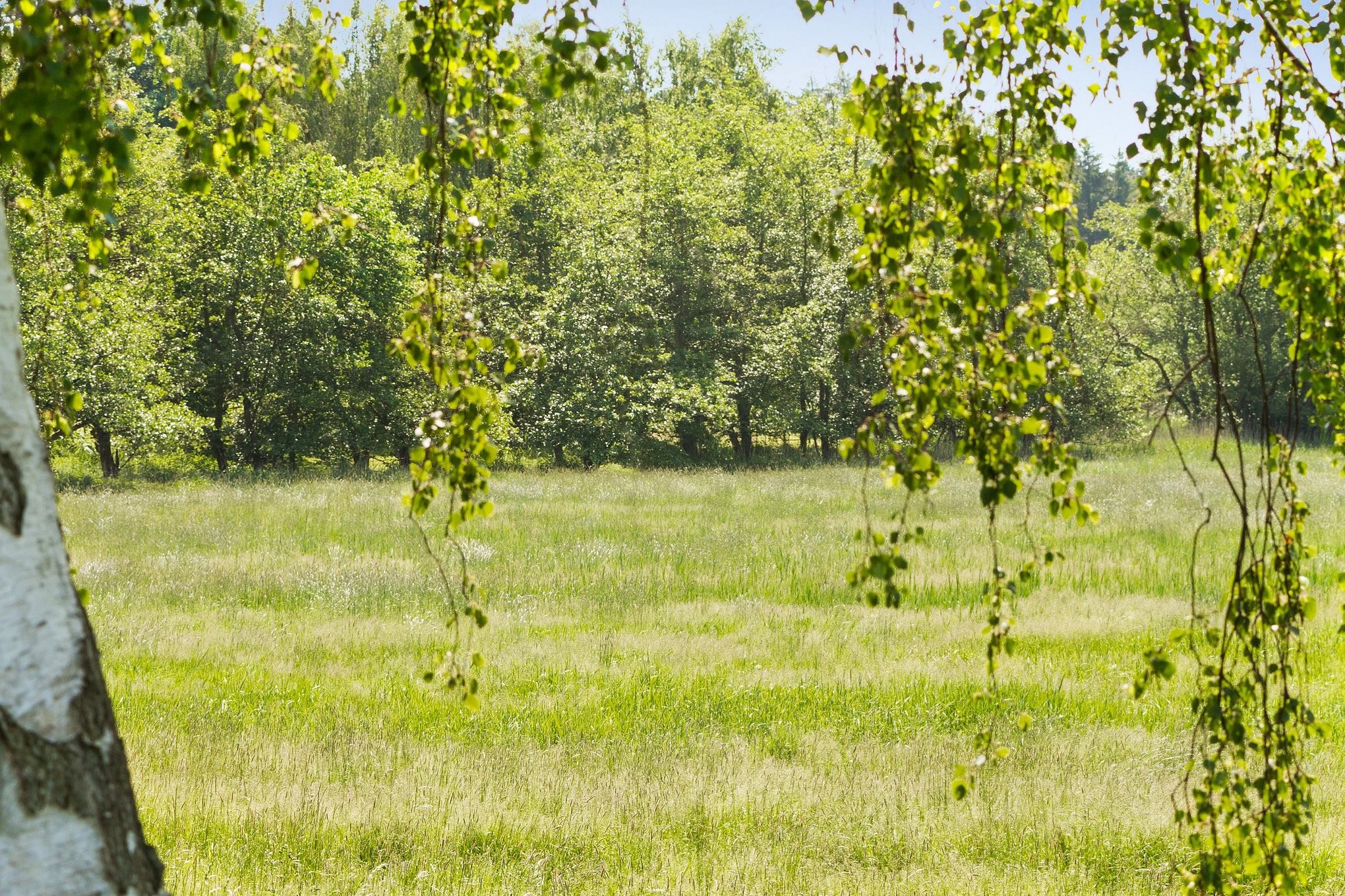 Fremhævet omgivelser billede i fuldskærmstilstand. Billede af Skovløbervej 29, Klint, 4500 Nykøbing Sj