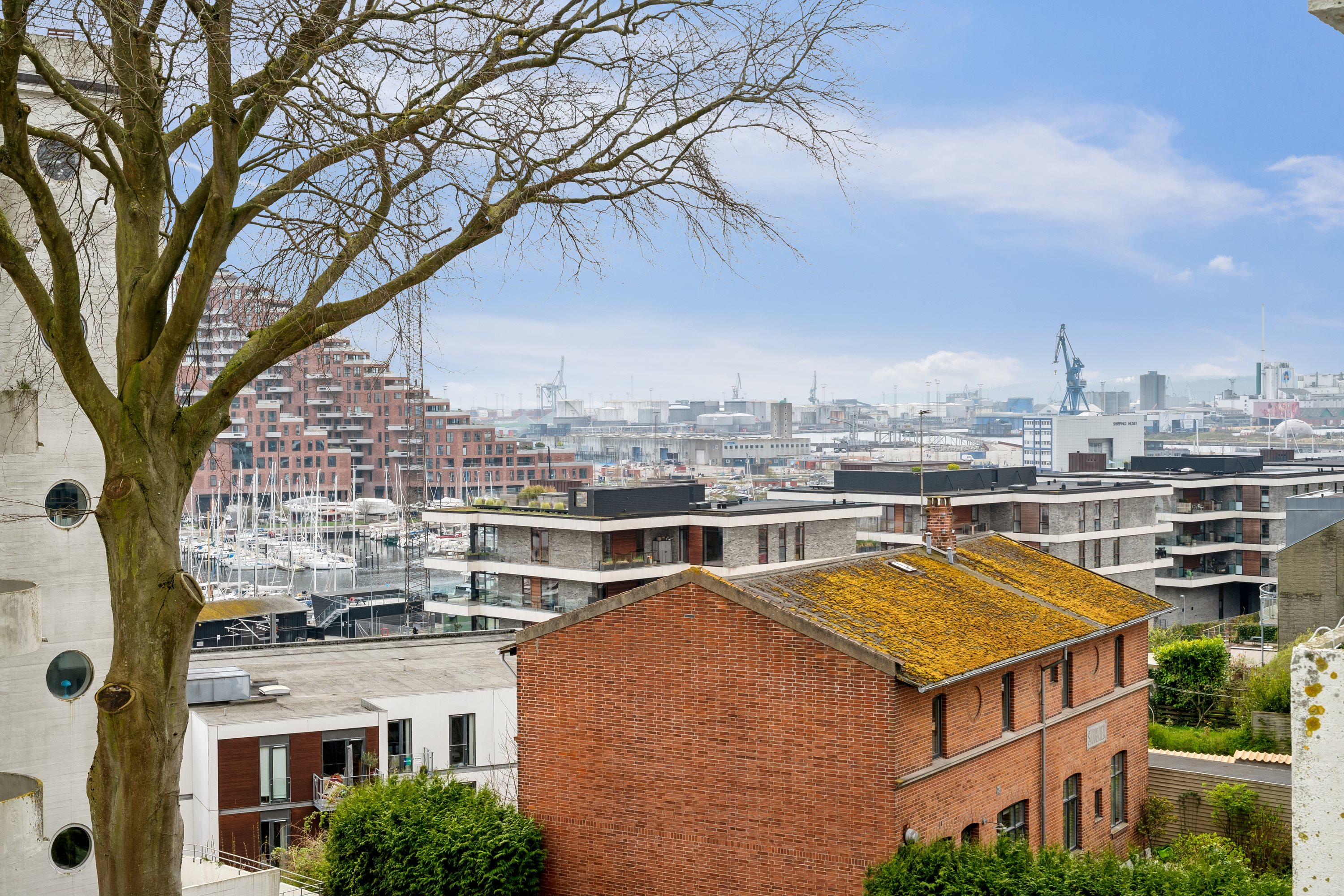 Fremhævet ejendom  billede i fuldskærmstilstand. Billede af Skovvejen 44C, 2. th., 8000 Aarhus C