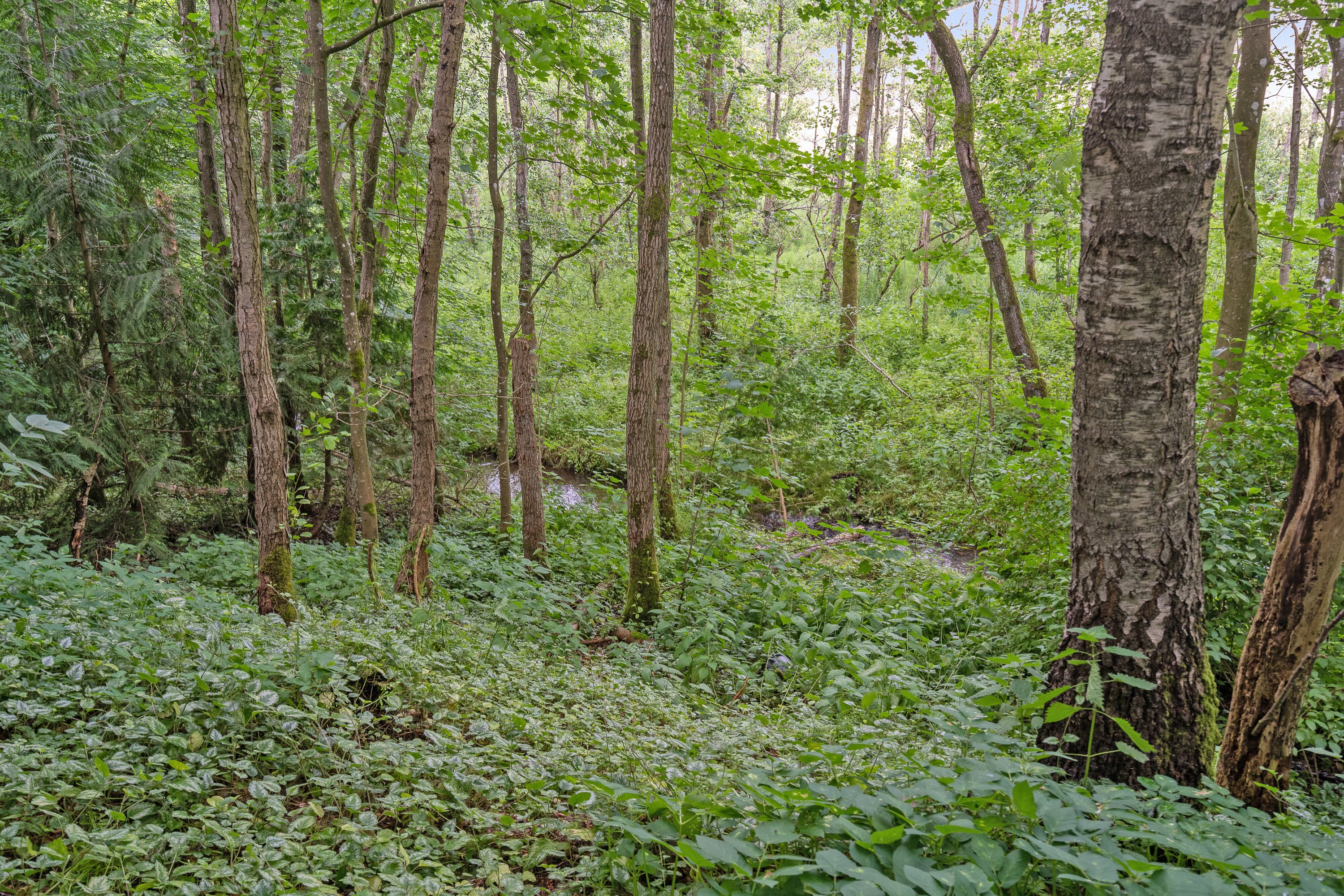 Fremhævet udendørs billede i fuldskærmstilstand. Billede af Bellemøllebanke 14, Belle, 7140 Stouby