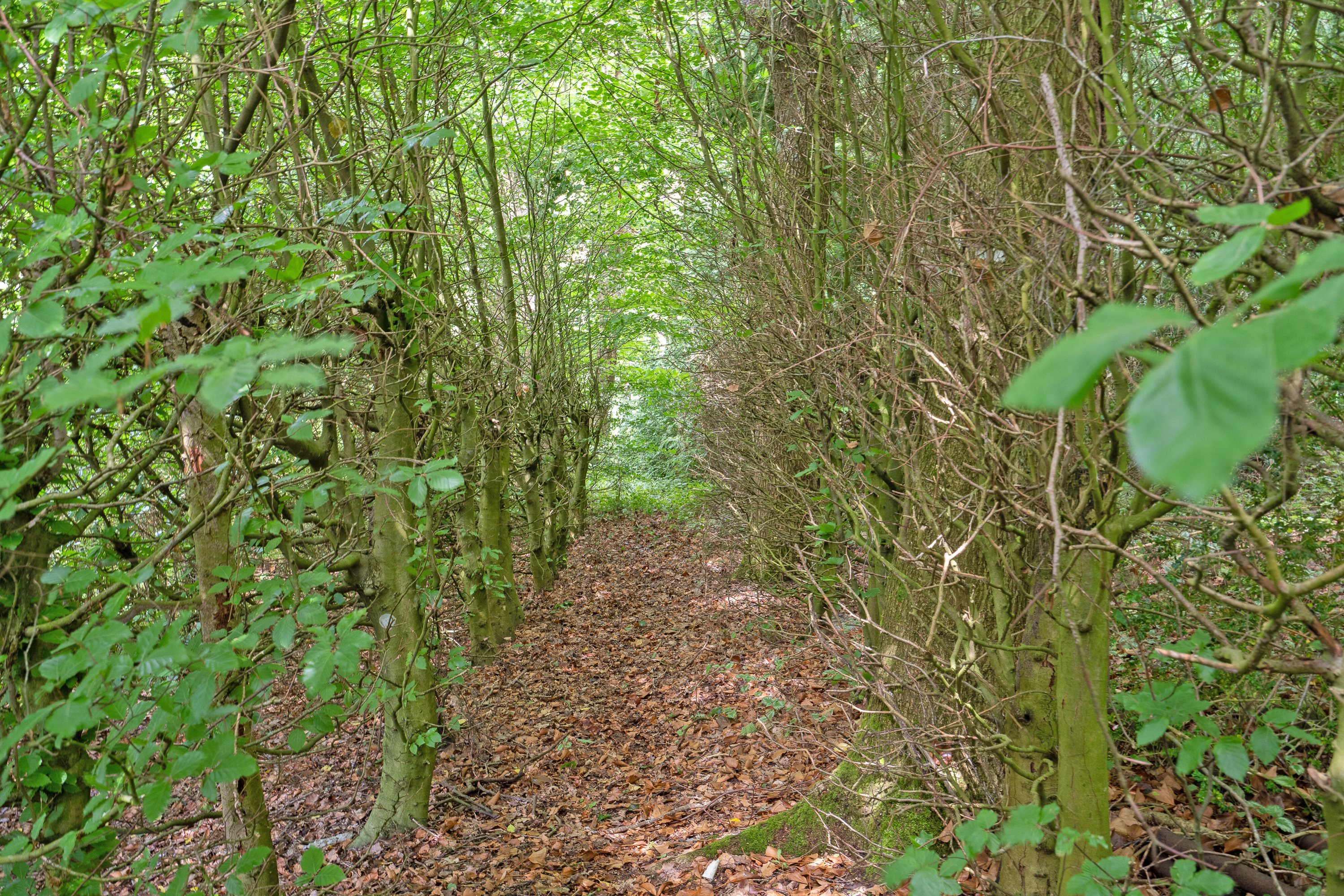 Fremhævet set fra vejen billede i fuldskærmstilstand. Billede af Bellemøllebanke 14, Belle, 7140 Stouby