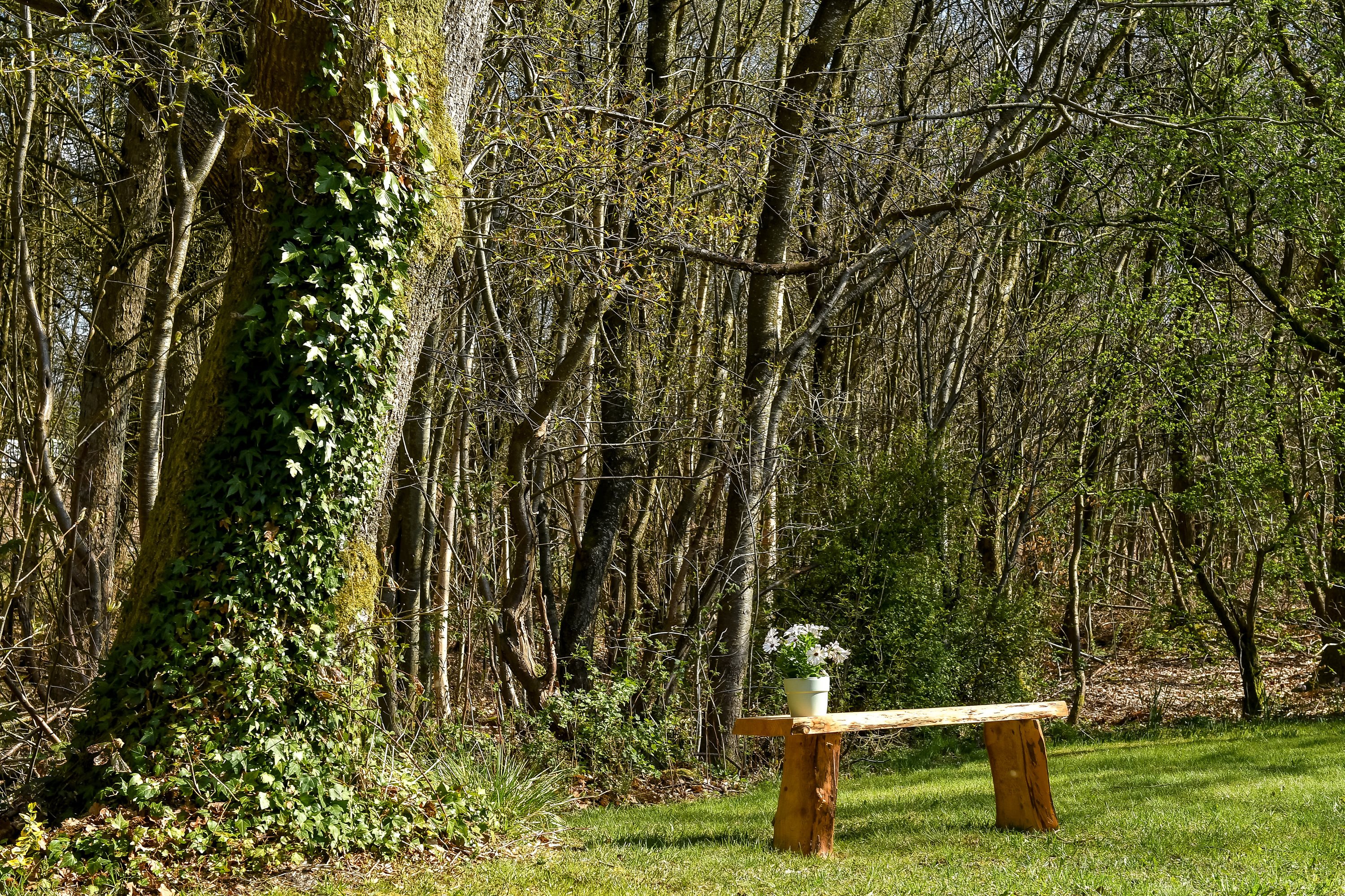 Fremhævet have billede i fuldskærmstilstand. Billede af Torpet 98, 6682 Hovborg