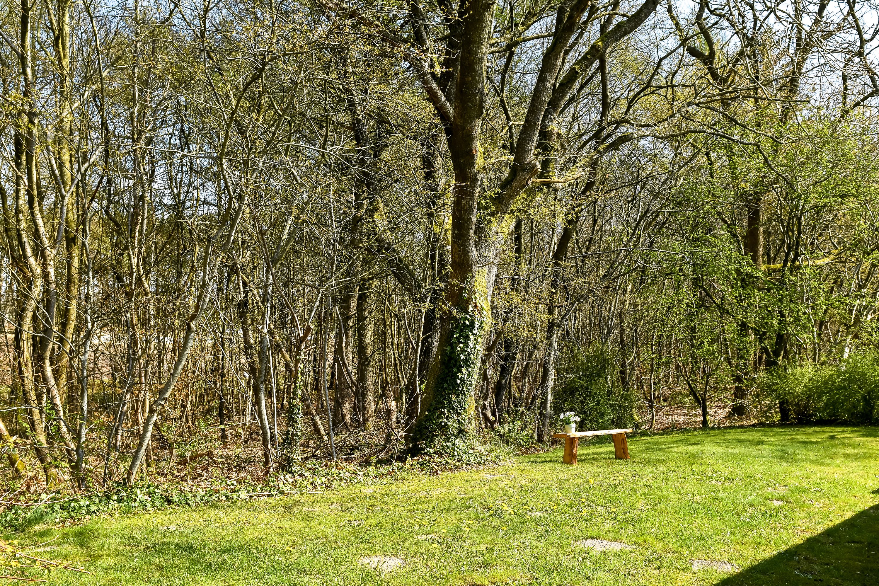 Fremhævet have billede i fuldskærmstilstand. Billede af Torpet 98, 6682 Hovborg