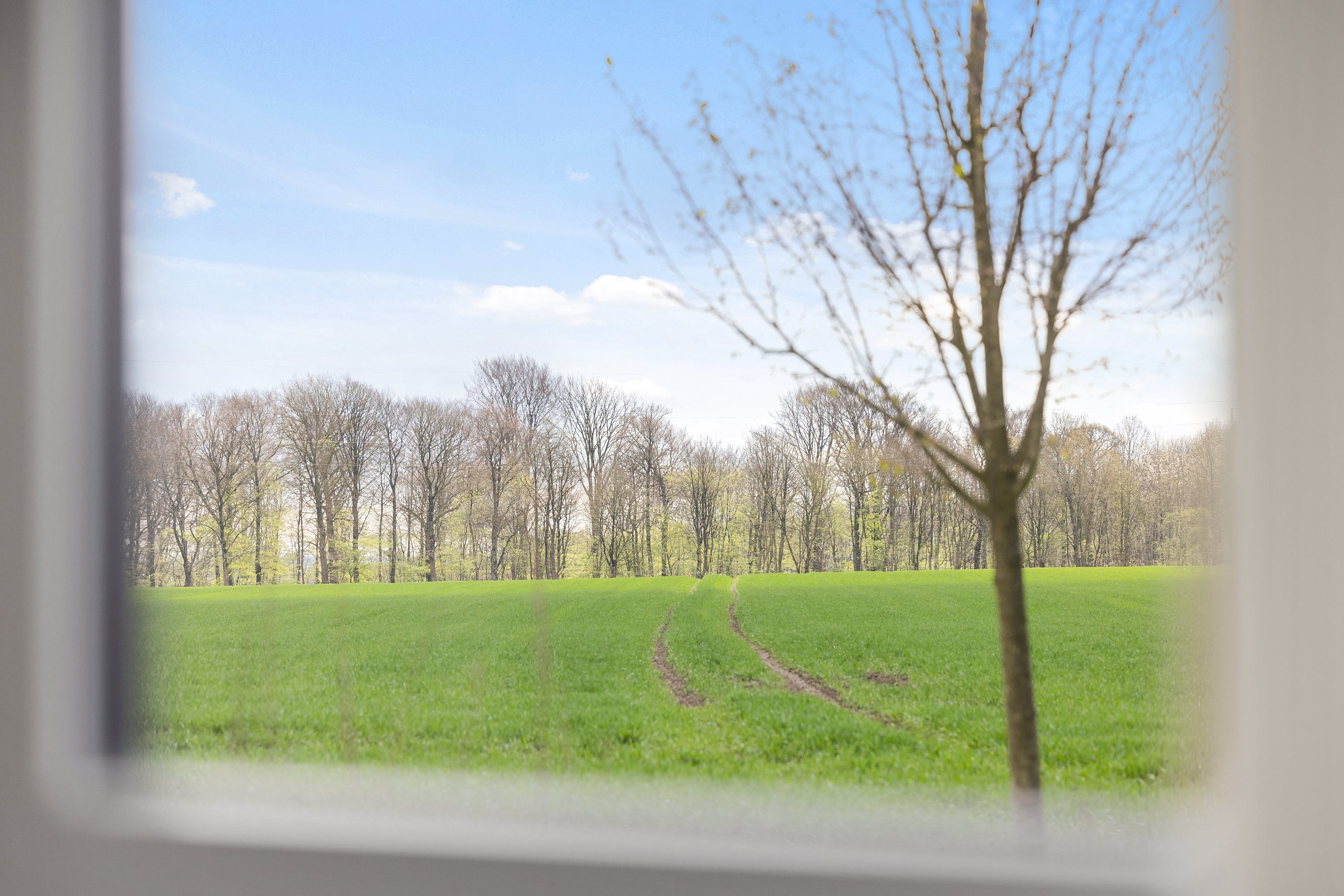 Fremhævet  billede i fuldskærmstilstand. Billede af Mødalvej 11, Skjoldelev, 8471 Sabro