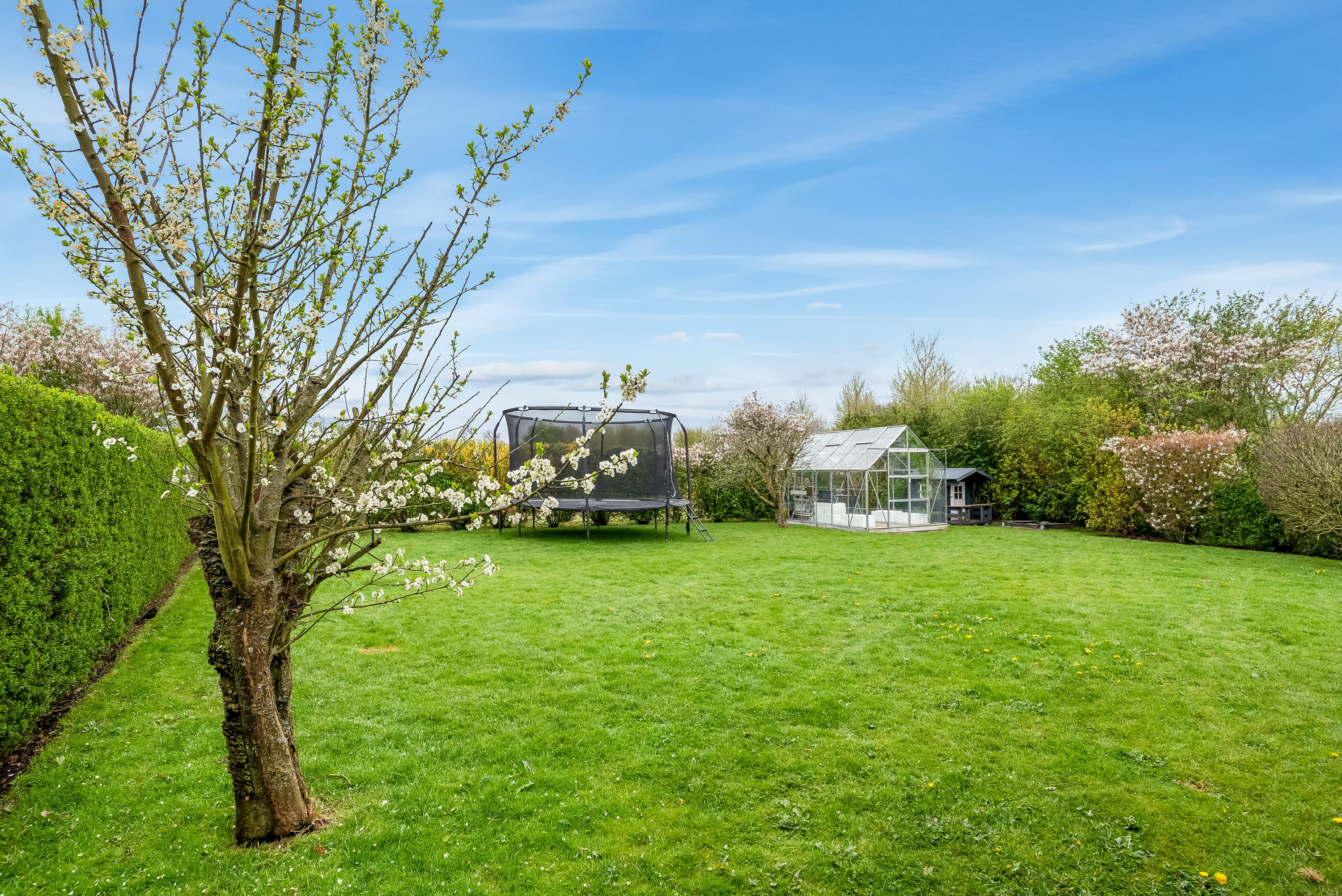 Fremhævet have billede i fuldskærmstilstand. Billede af Knud Aggers Vej 61, 7500 Holstebro