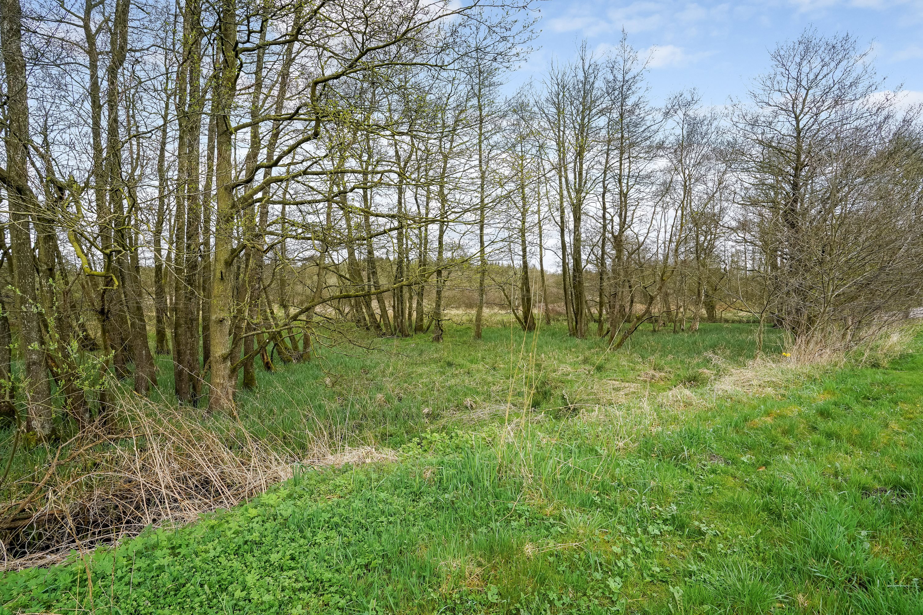 Fremhævet område billede i fuldskærmstilstand. Billede af Gudenå Alle 2, 7160 Tørring