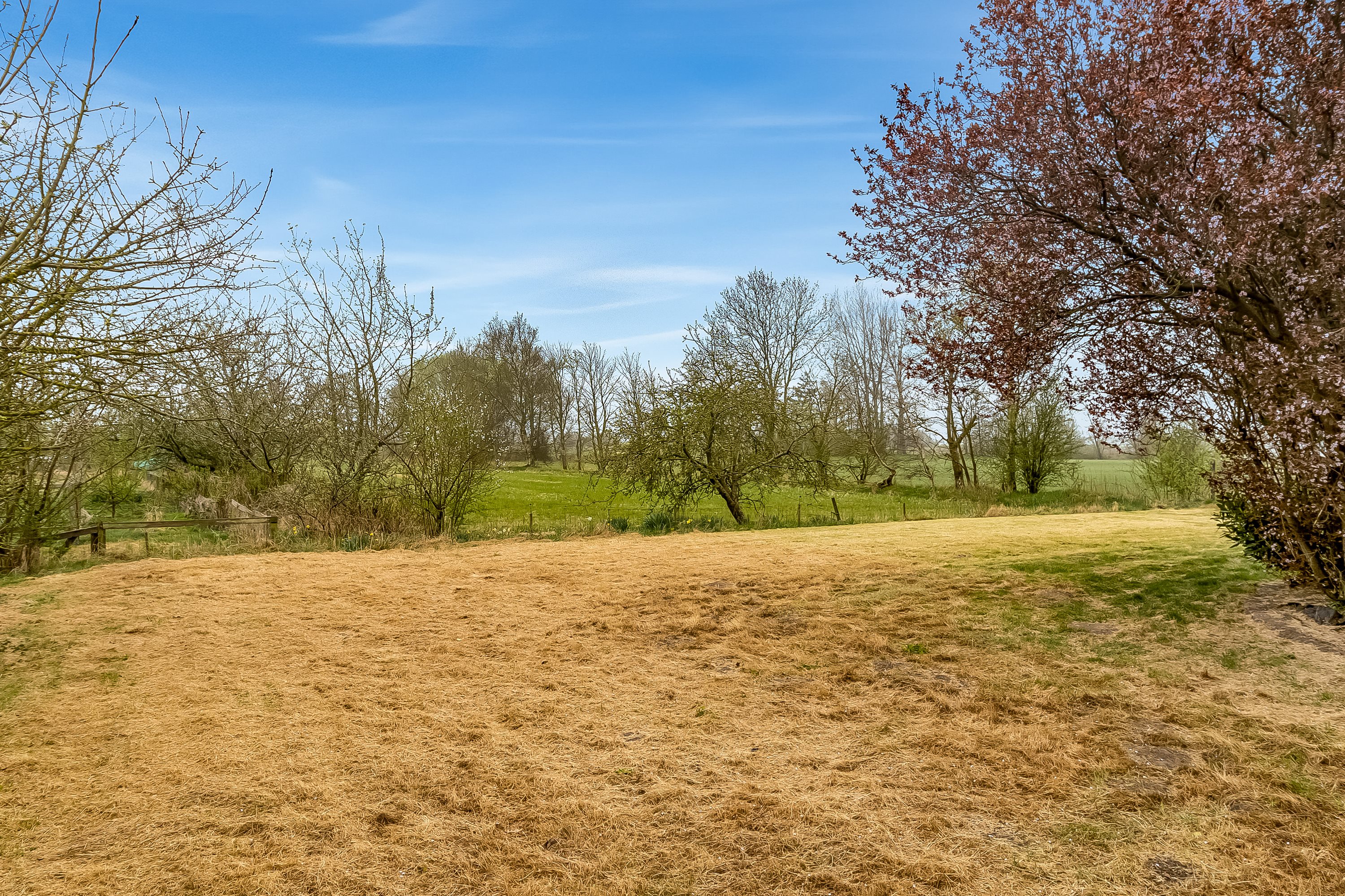 Fremhævet udendørs billede i fuldskærmstilstand. Billede af Hans Clausensvej 5, Solderup, 6270 Tønder