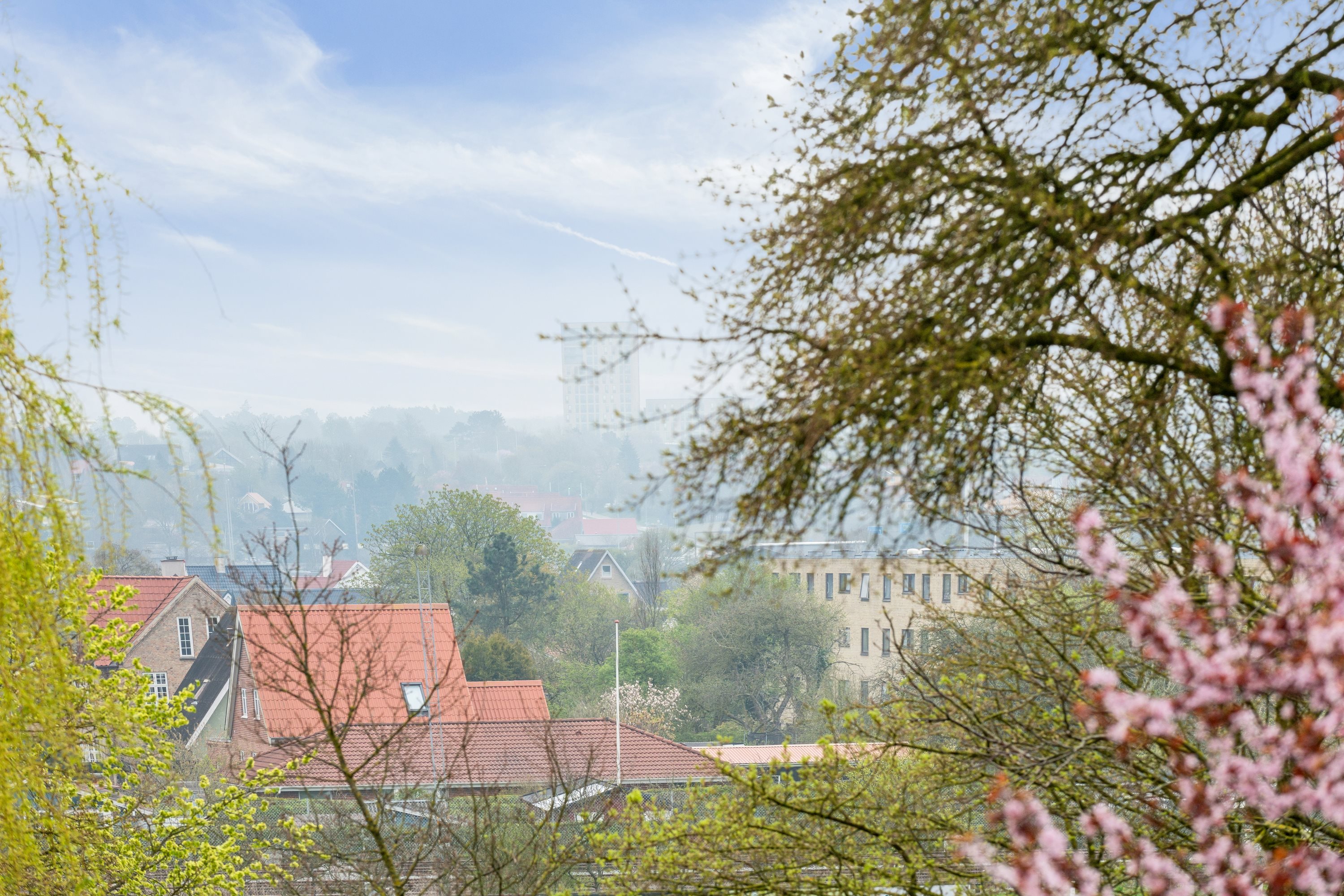 Miniaturebillede 2: have. Billede af Provstejorden 7, st.. th., 9000 Aalborg