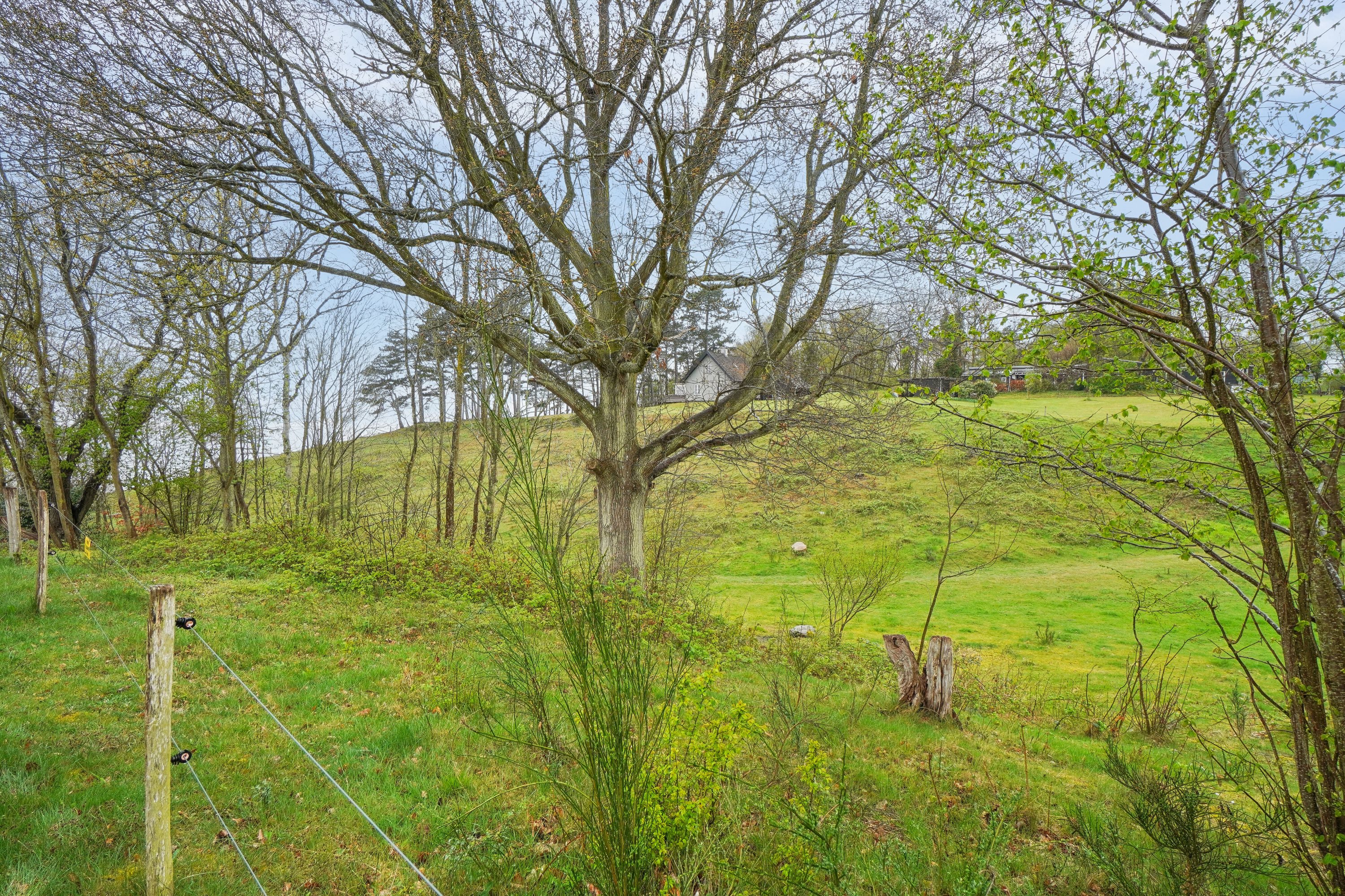 Fremhævet udendørs billede i fuldskærmstilstand. Billede af C.A. Nielsensvej 31, Ølsted Strandhuse, 3310 Ølsted