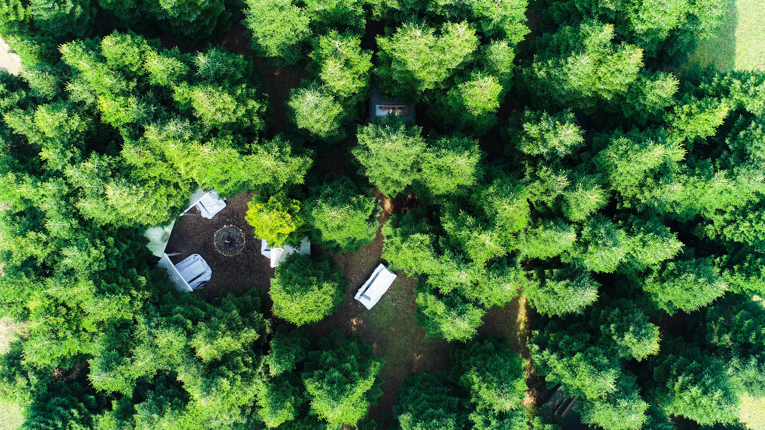 Fremhævet luftfoto billede i fuldskærmstilstand. Billede af Frederikslystvej 75, Eriknauer, 8723 Løsning