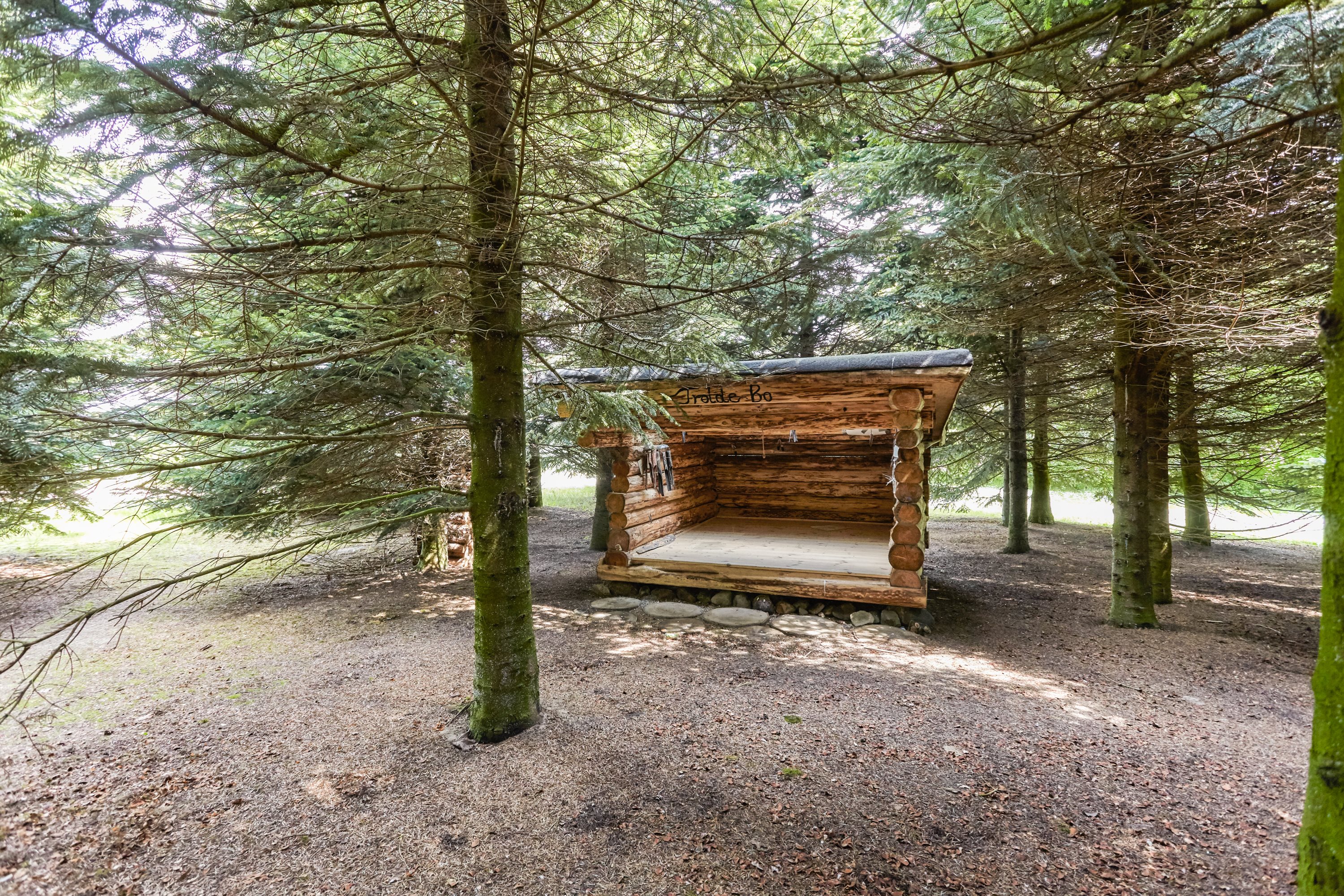 Fremhævet skov billede i fuldskærmstilstand. Billede af Frederikslystvej 75, Eriknauer, 8723 Løsning