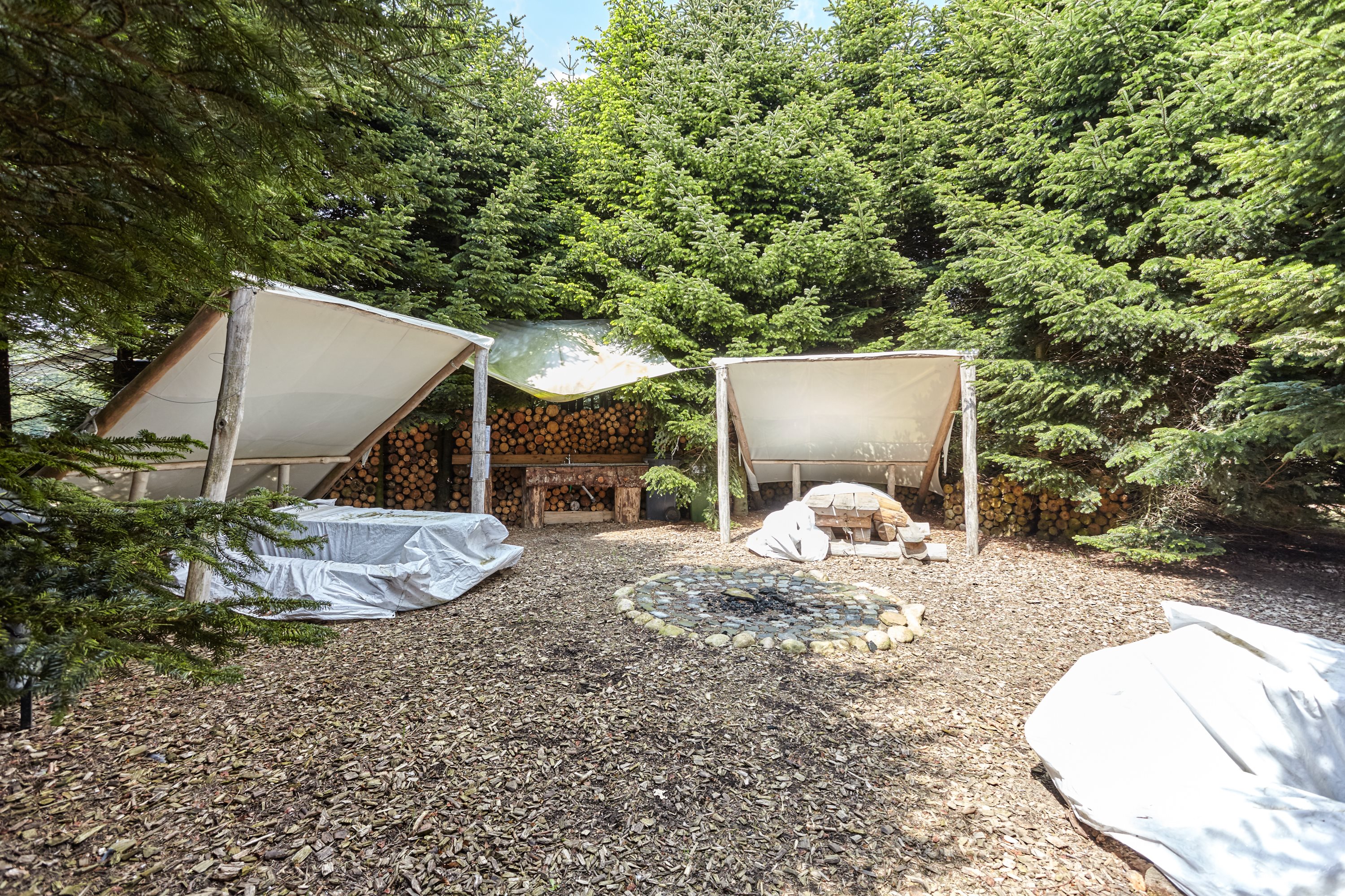 Fremhævet skov billede i fuldskærmstilstand. Billede af Frederikslystvej 75, Eriknauer, 8723 Løsning