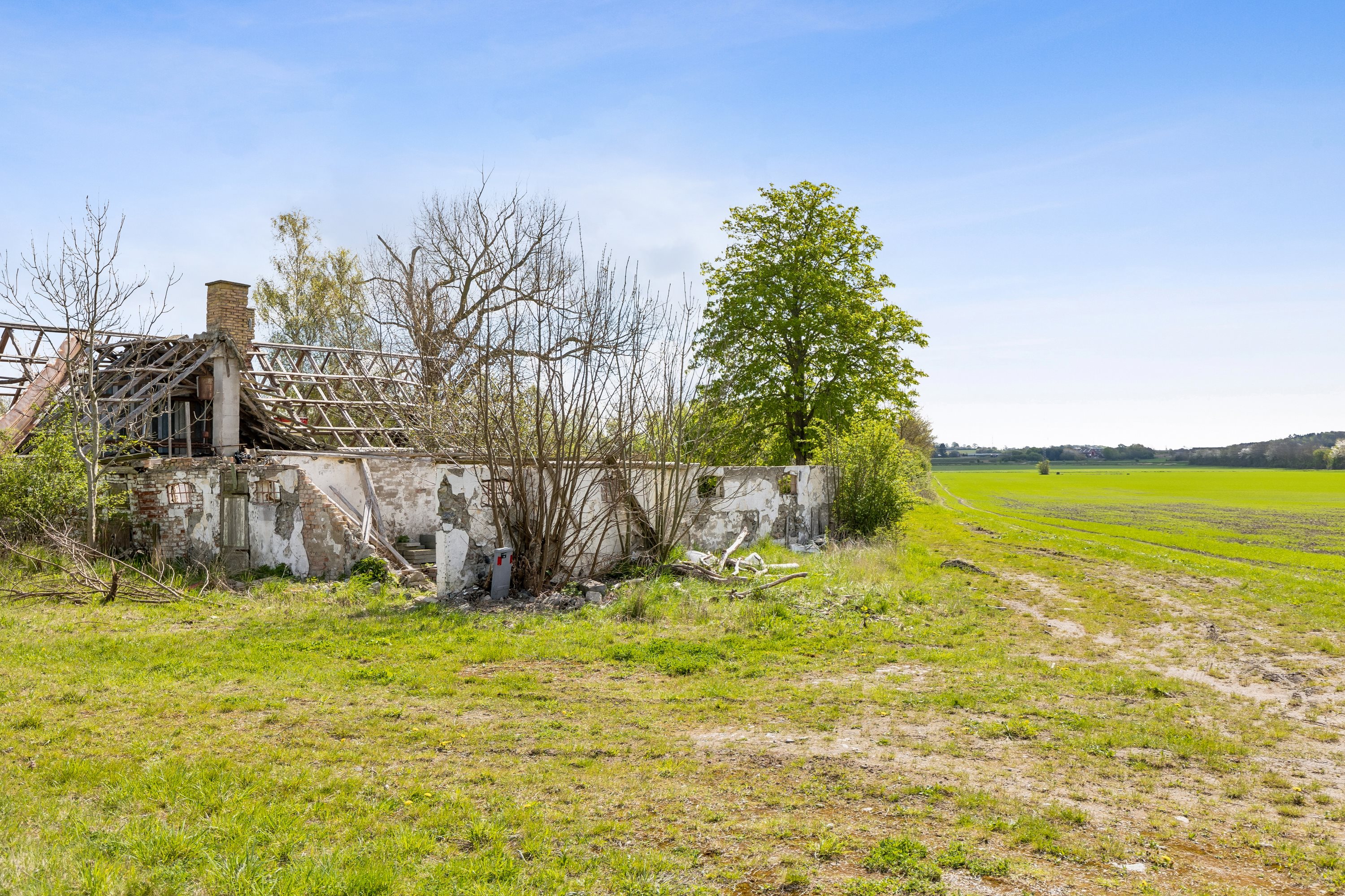 Miniaturebillede 2: have. Billede af Næbbevej 9, Vejleby, 4534 Hørve