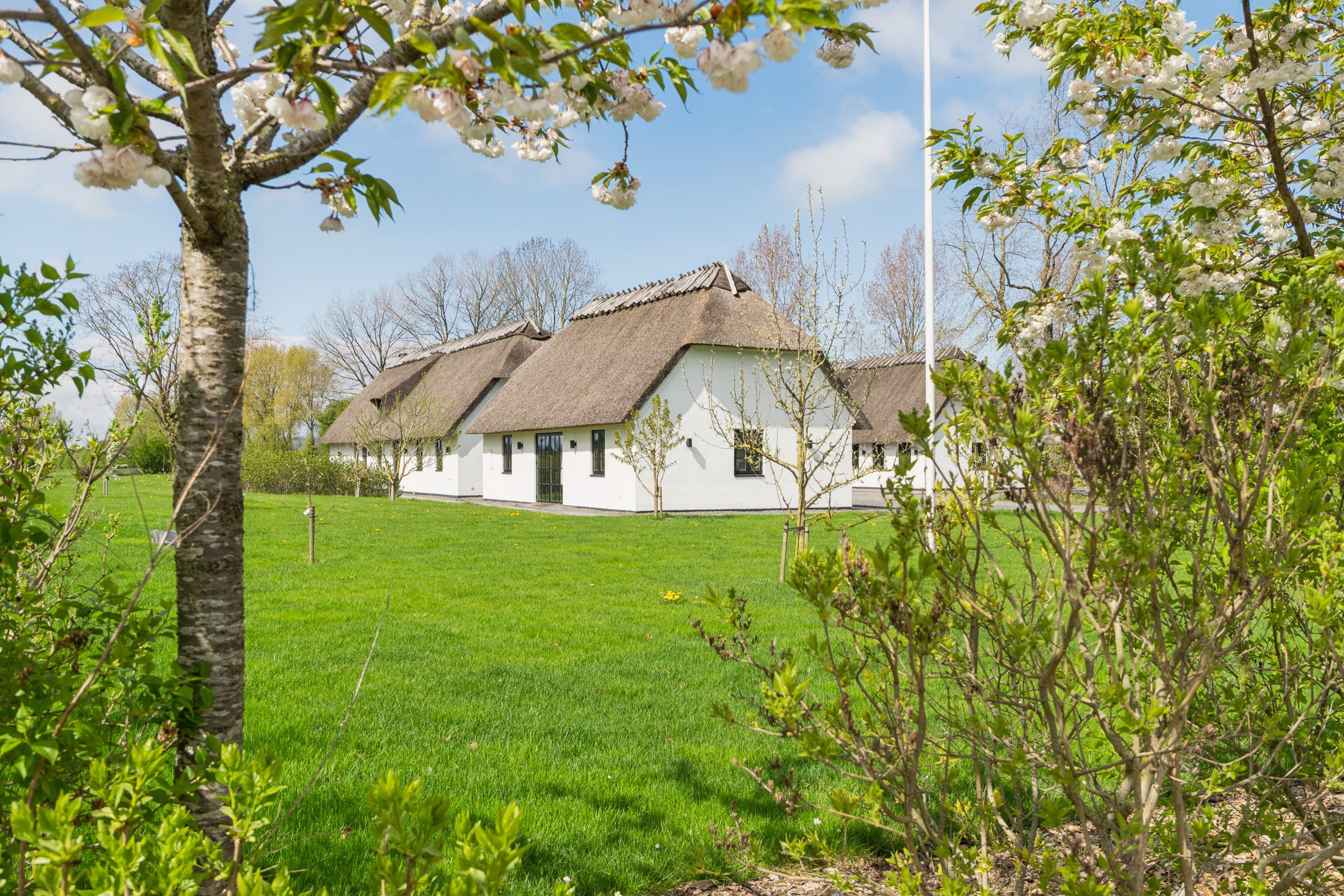 Fremhævet set fra haven billede i fuldskærmstilstand. Billede af Vejrupvej 53, Vejrup, 5464 Brenderup Fyn