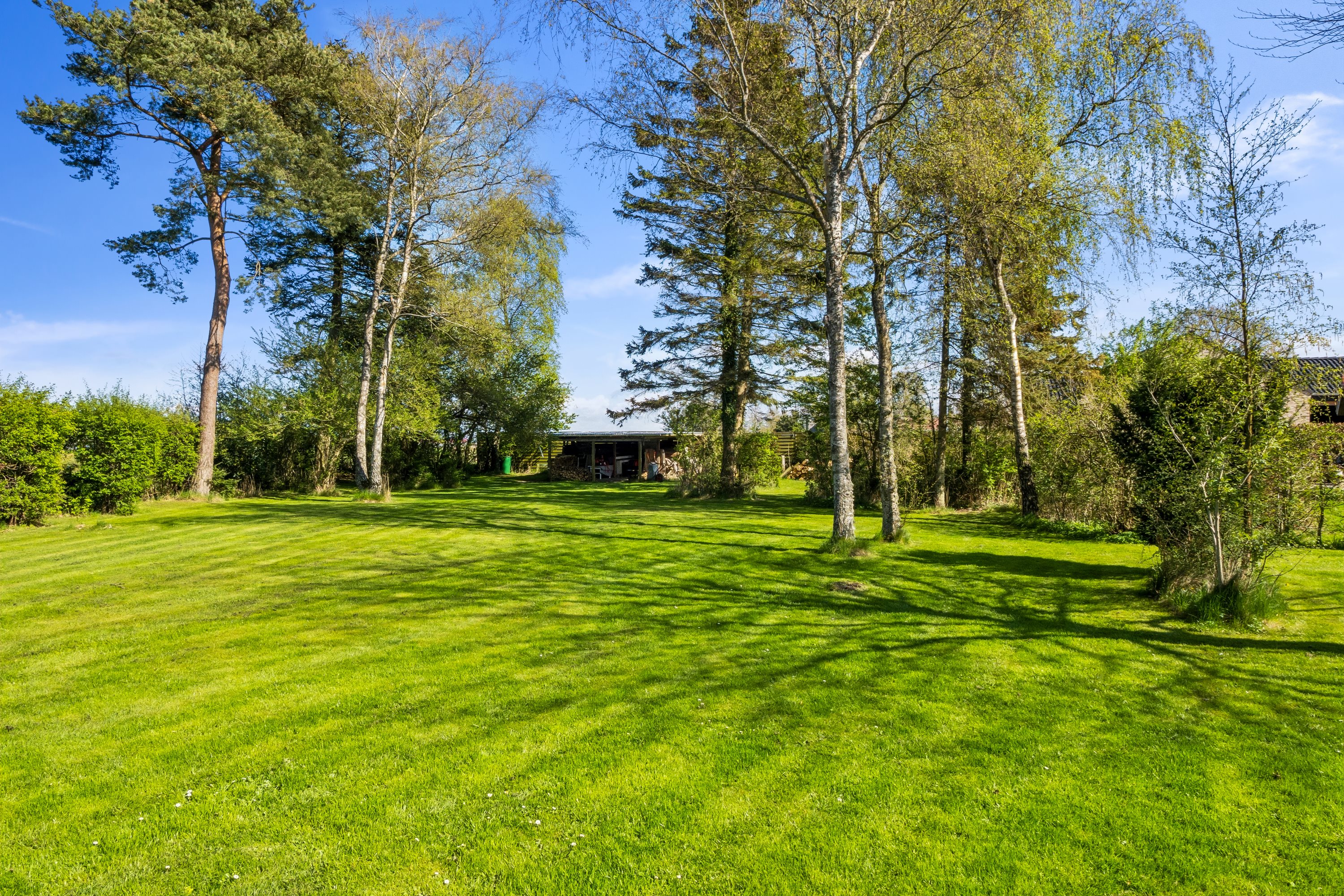 Fremhævet have billede i fuldskærmstilstand. Billede af Klosterbugten 13+17, 7900 Nykøbing M