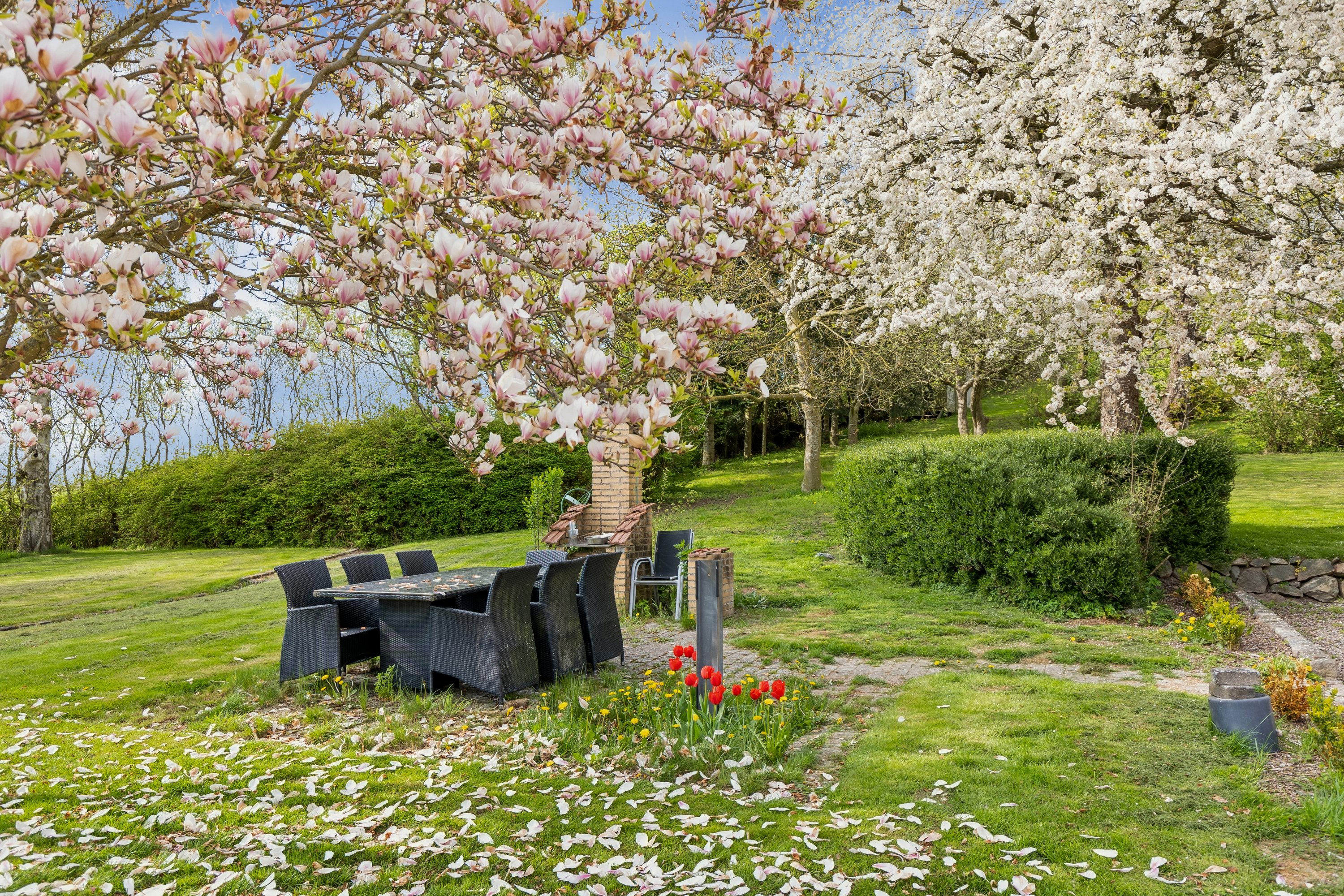 Fremhævet have billede i fuldskærmstilstand. Billede af Lille Stokkebjergvej 1, 4450 Jyderup