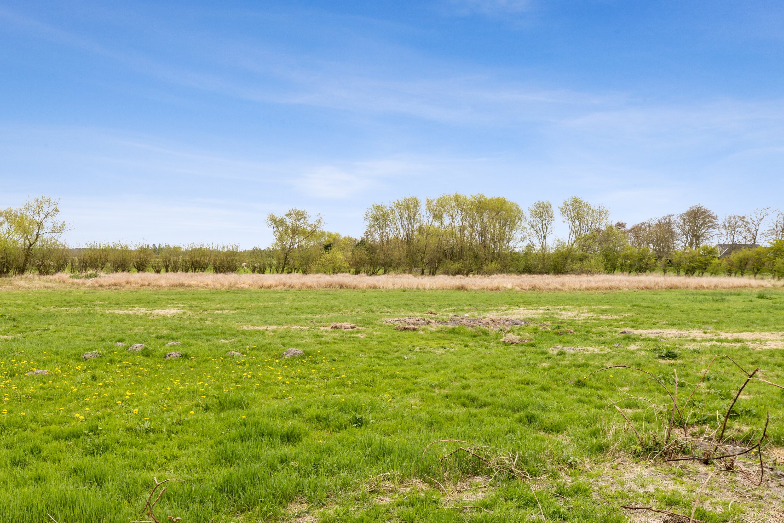 Fremhævet udsigt billede i fuldskærmstilstand. Billede af Råhedevej 20, Råhede, 6760 Ribe