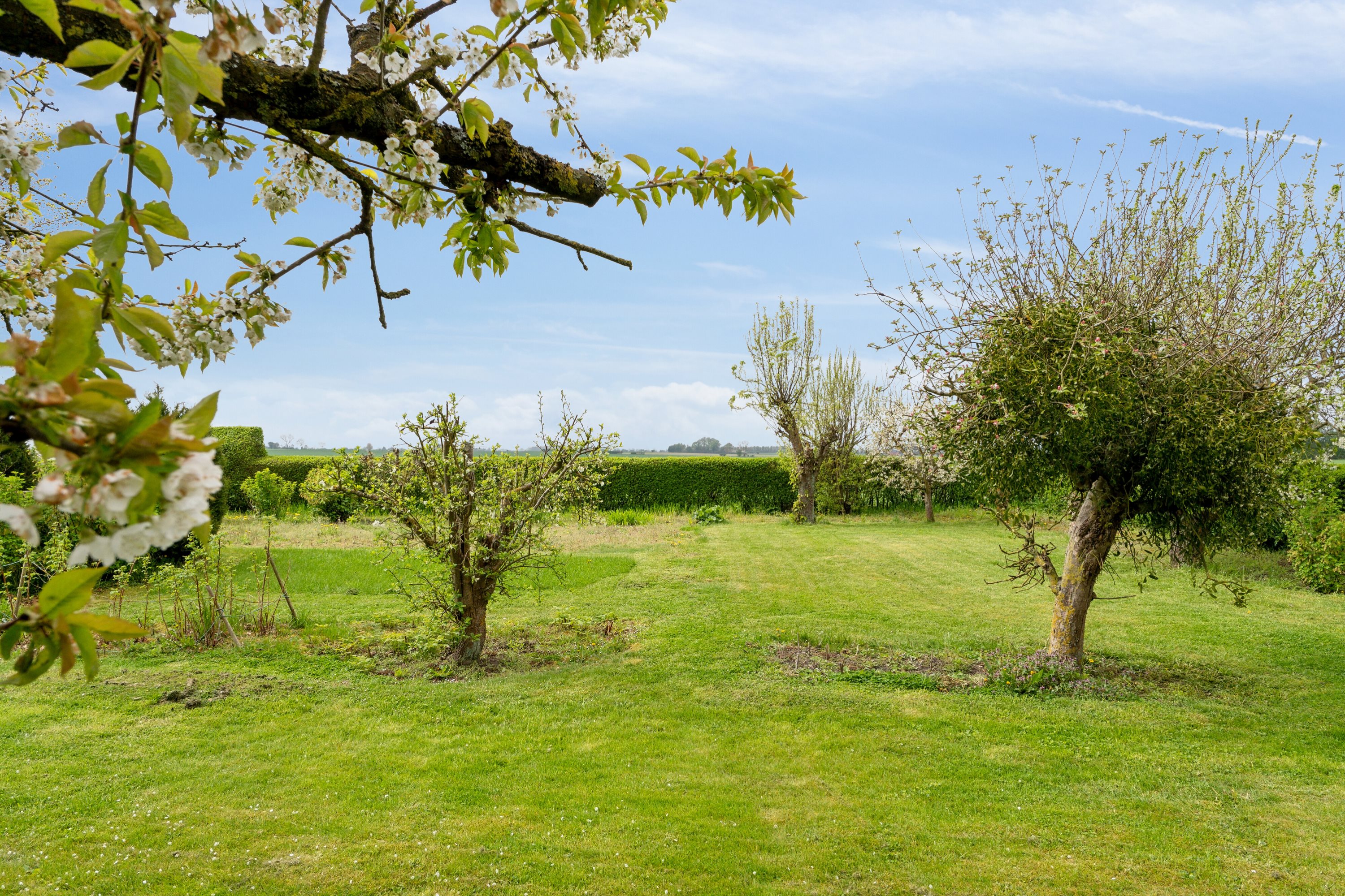 Fremhævet udendørs billede i fuldskærmstilstand. Billede af Skovballevej 44, Tåsinge, 5700 Svendborg
