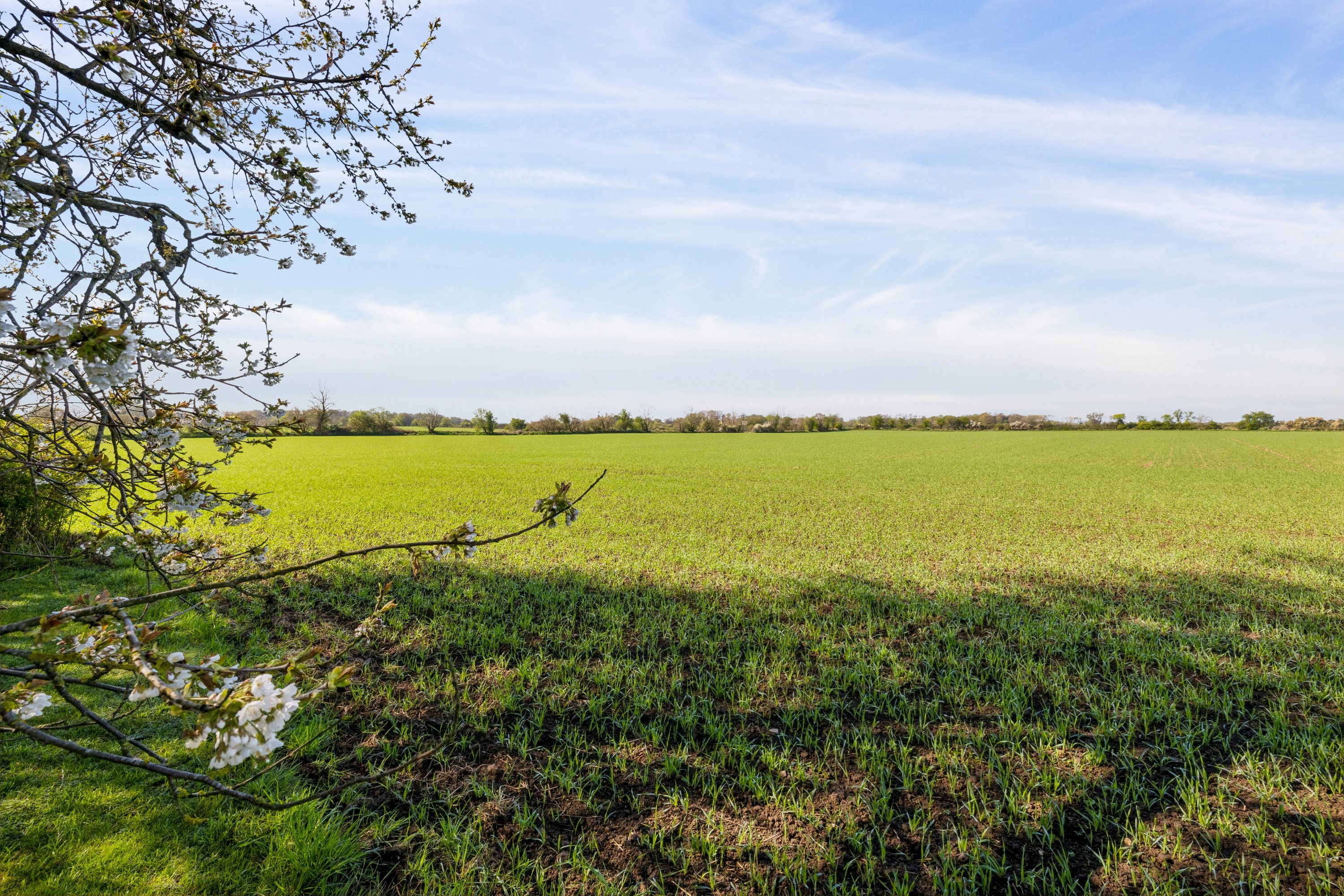 Fremhævet omgivelser billede i fuldskærmstilstand. Billede af Fuglebækvej 34, Sønder Homå, 8570 Trustrup