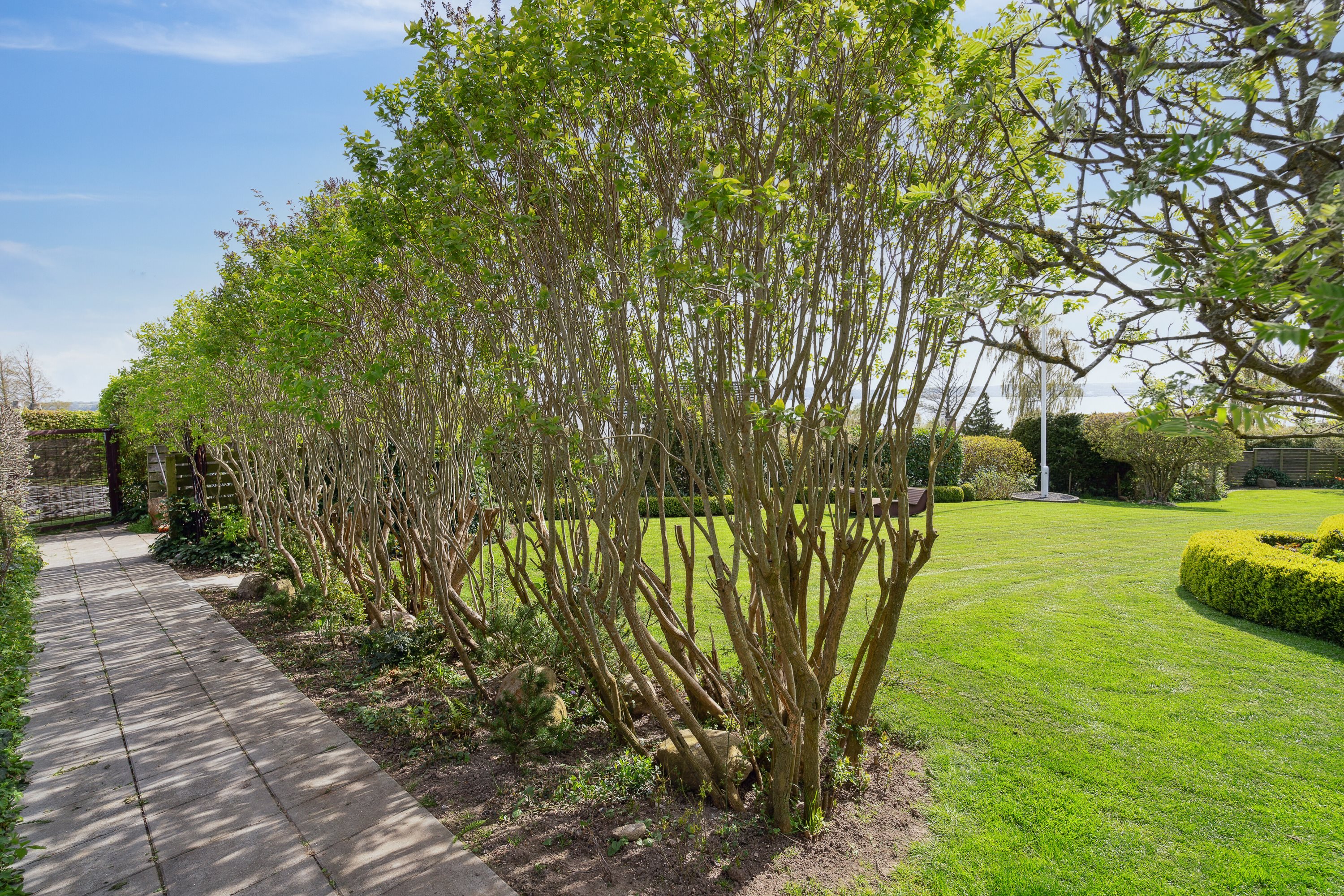 Fremhævet udendørs billede i fuldskærmstilstand. Billede af Dyrhave 67, 6200 Aabenraa