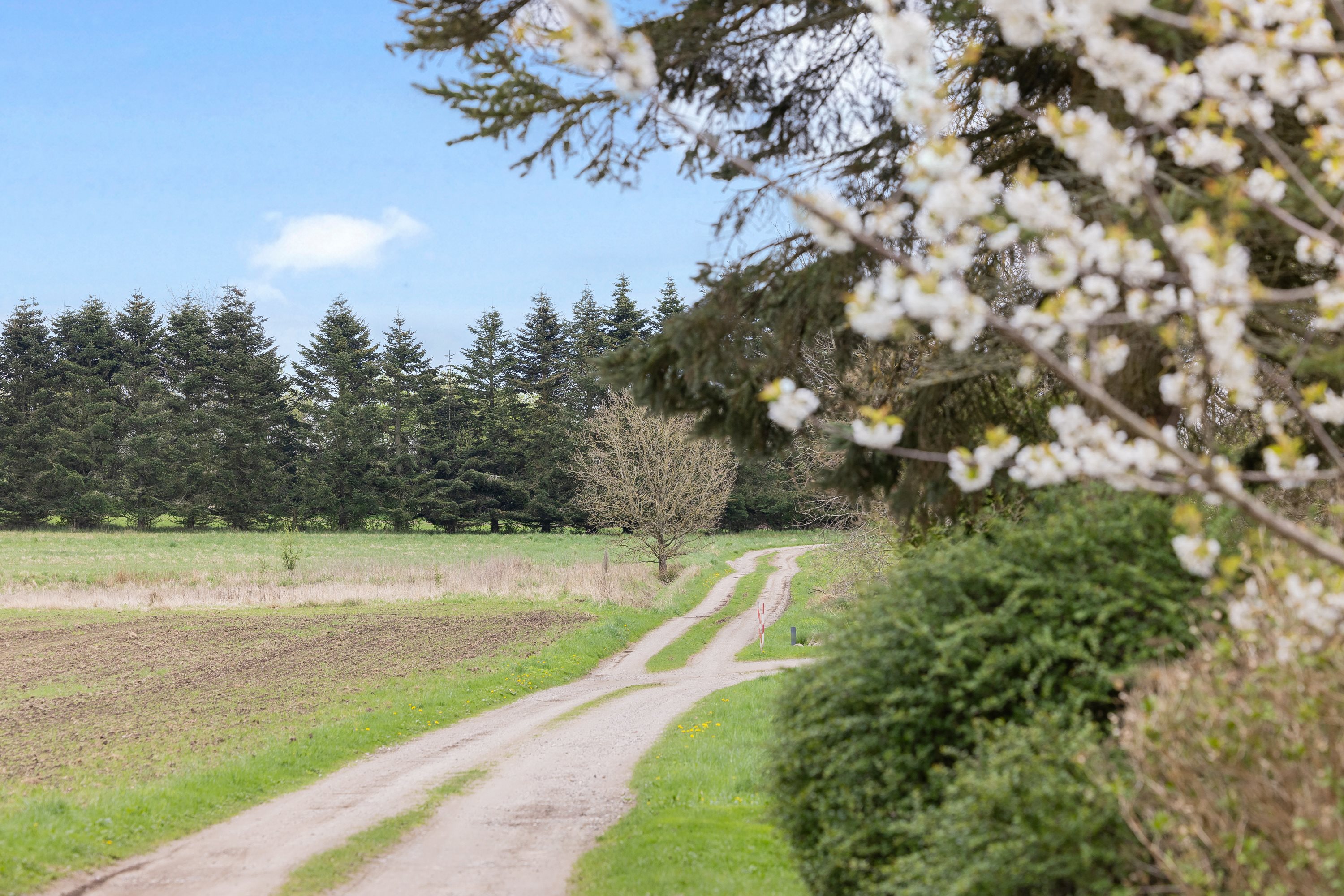 Fremhævet  billede i fuldskærmstilstand. Billede af Viborgvej 733, 8471 Sabro