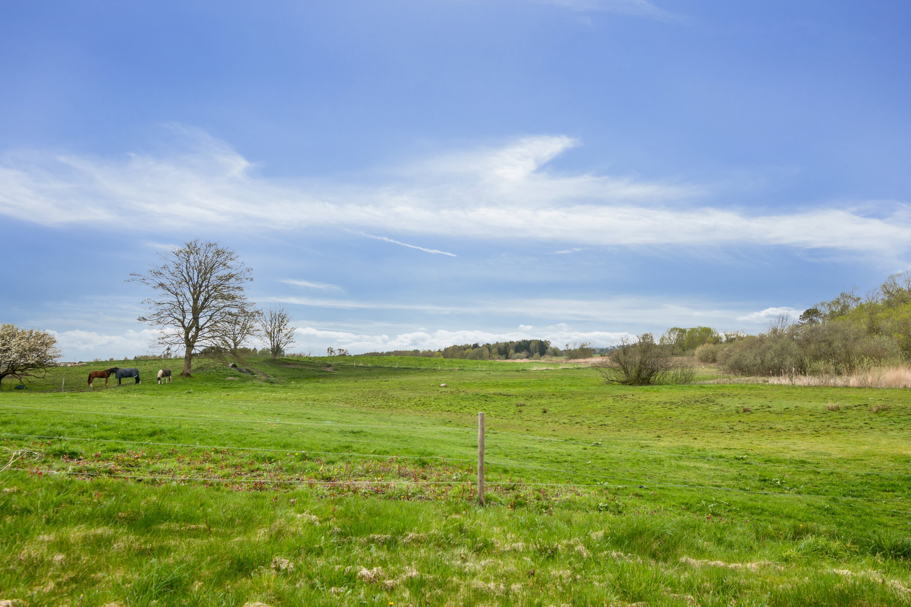 Fremhævet omgivelser billede i fuldskærmstilstand. Billede af Kildevej 5, Lundby, 9240 Nibe