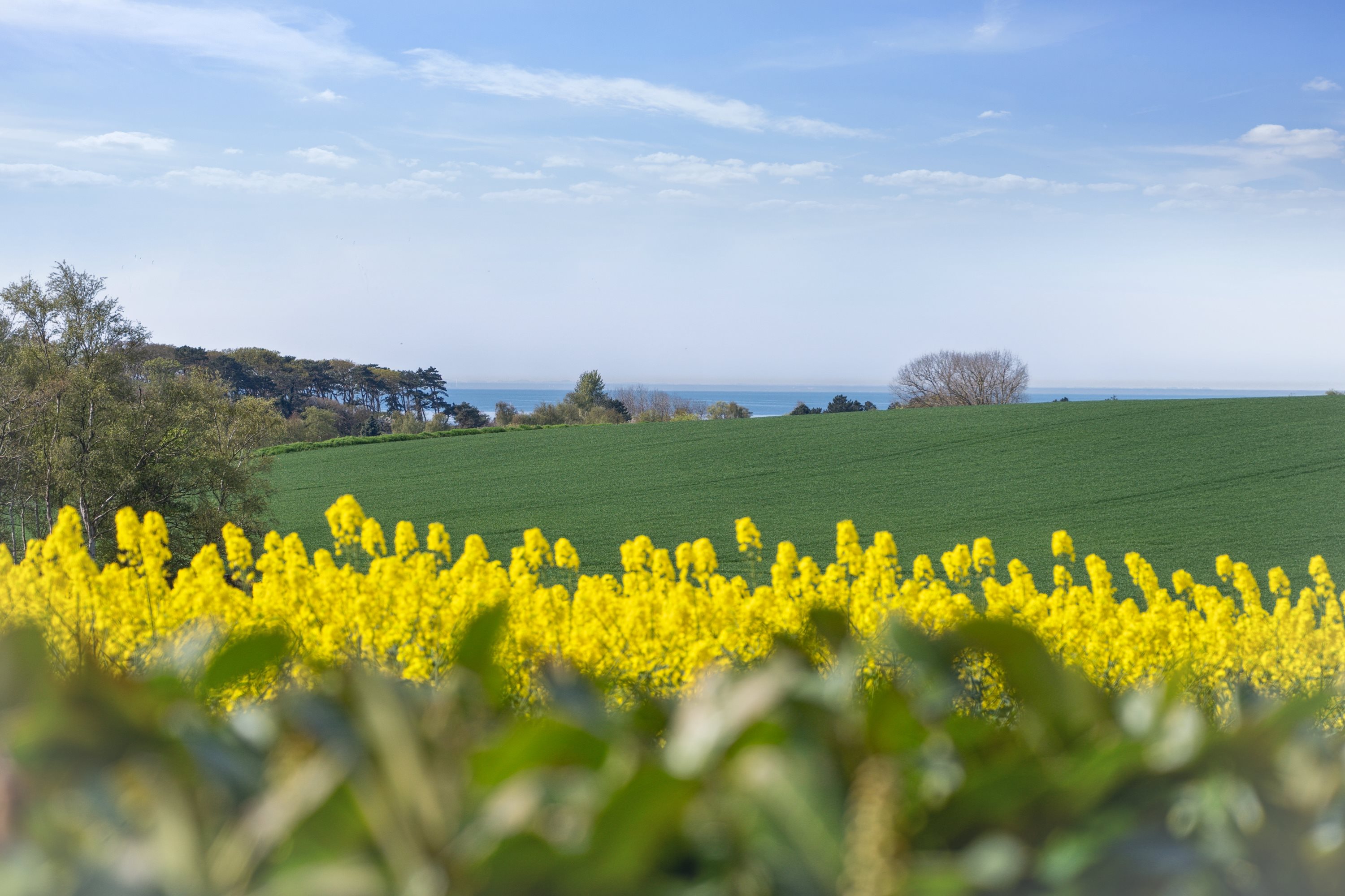 Fremhævet  billede i fuldskærmstilstand. Billede af Drøsselbjergvej 45, Drøsselbjerg, 4200 Slagelse