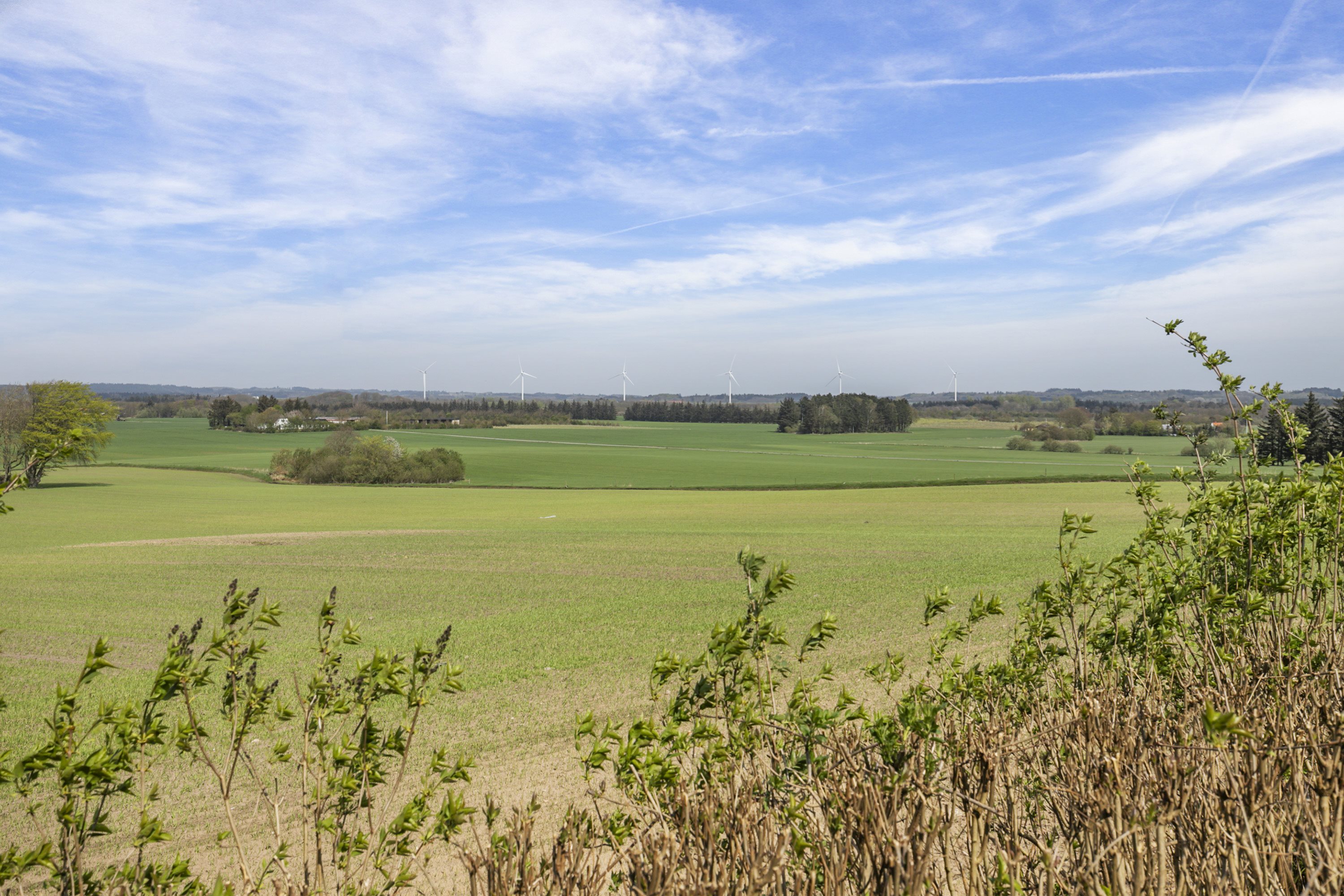 Miniaturebillede 2: udsigt. Billede af Bjergevej 125, Ilbjerge, 9800 Hjørring