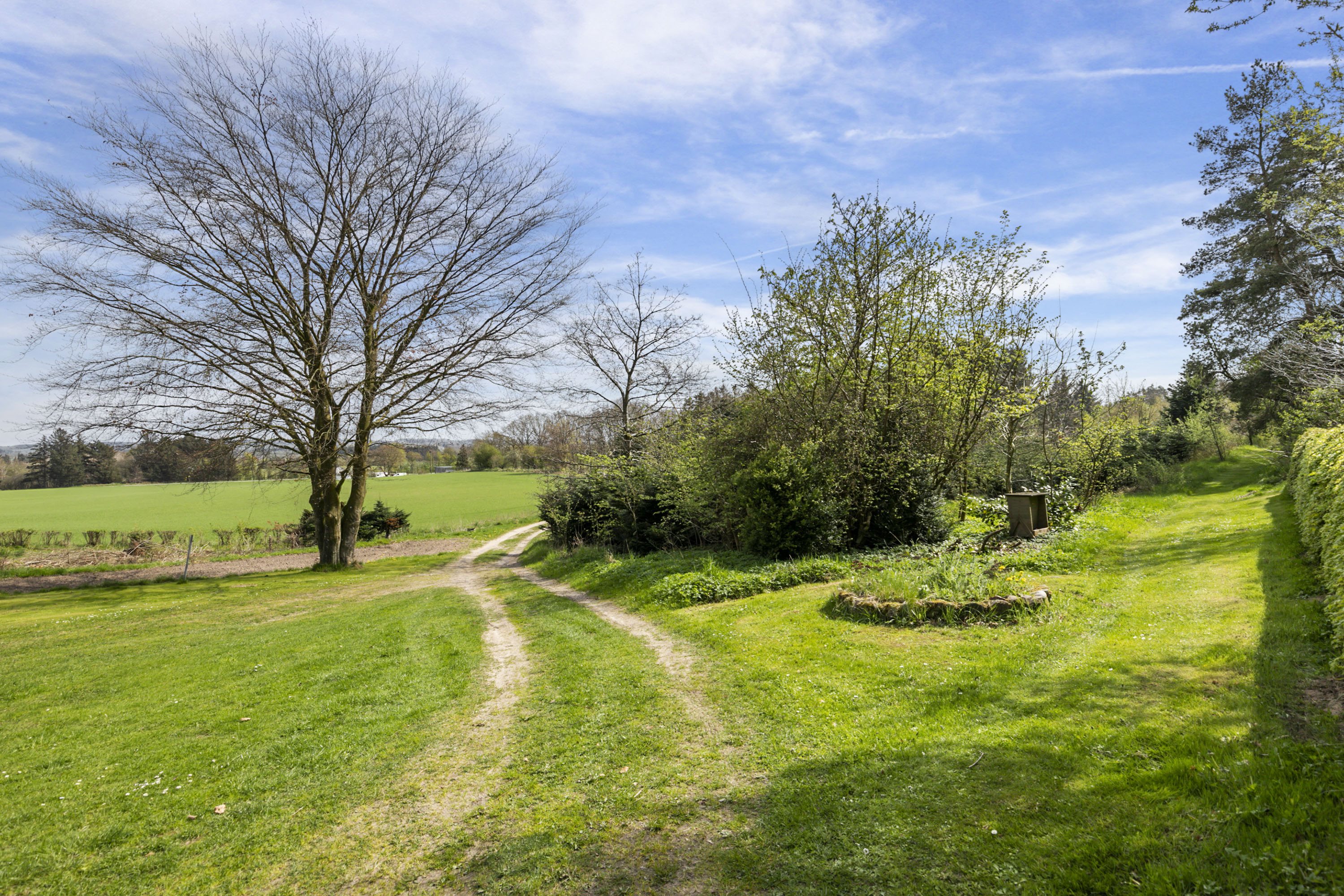 Fremhævet have billede i fuldskærmstilstand. Billede af Bjergevej 125, Ilbjerge, 9800 Hjørring