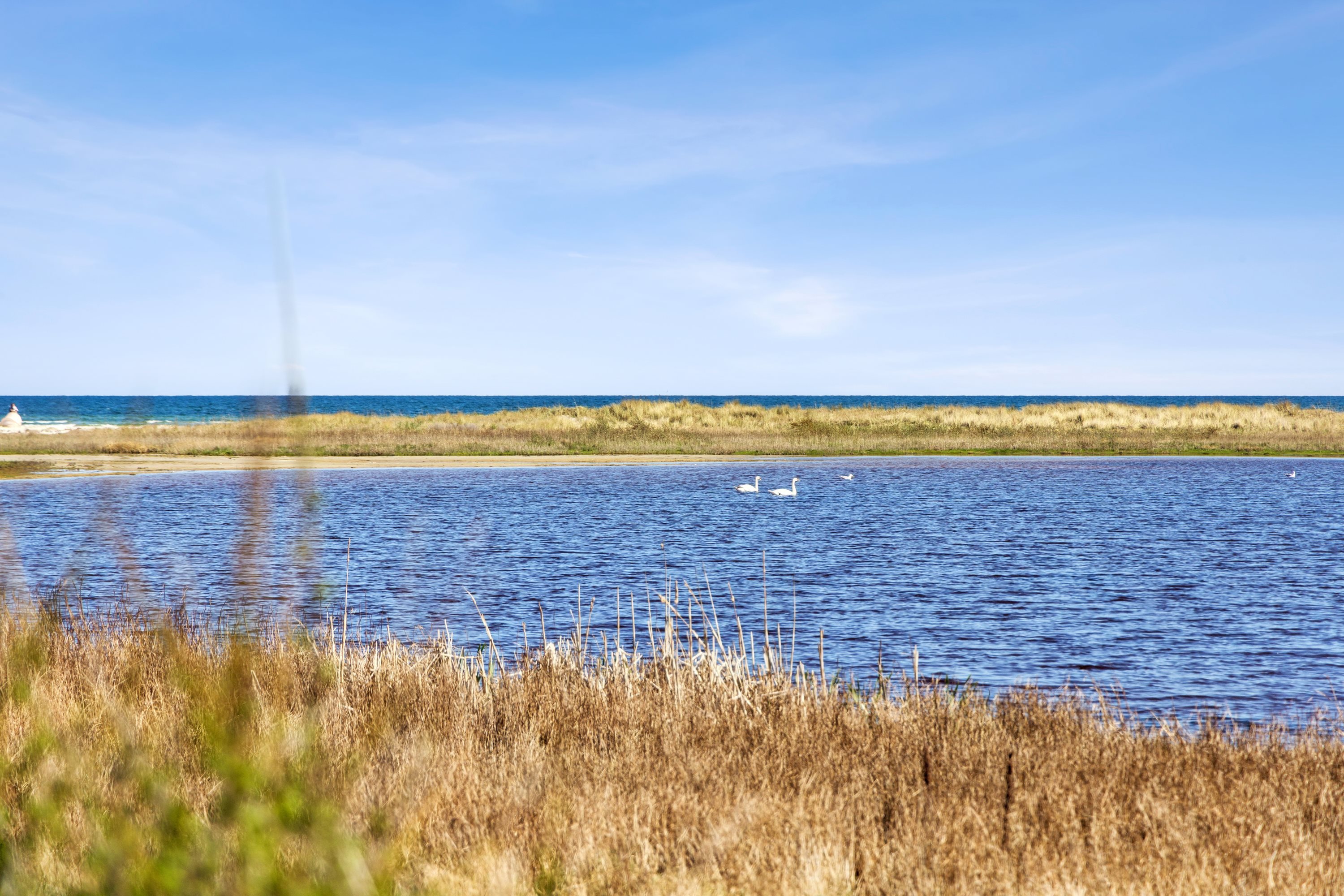 Fremhævet område billede i fuldskærmstilstand. Billede af Søndergade 41, Hou, 9370 Hals