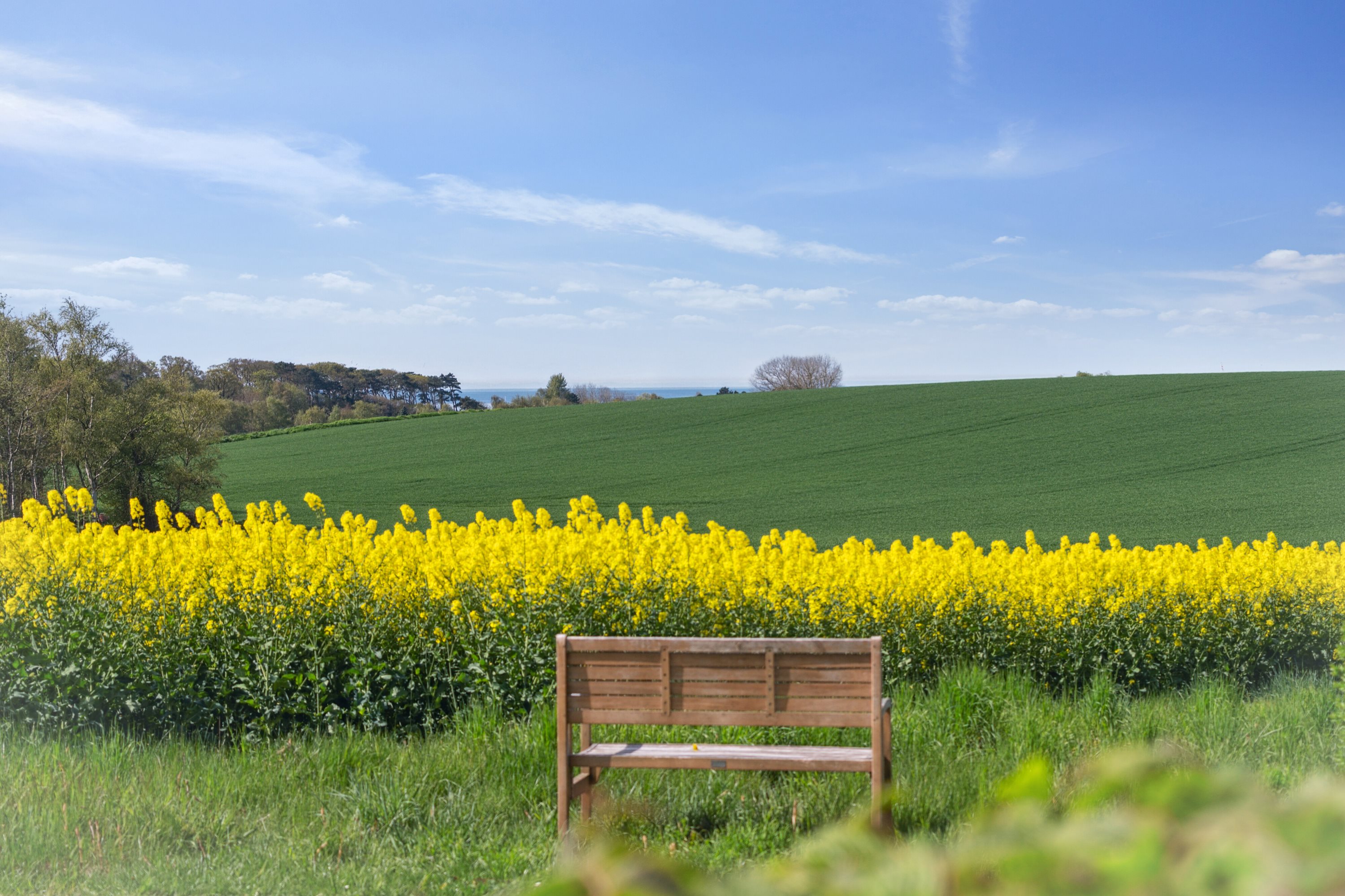 Fremhævet udendørs billede i fuldskærmstilstand. Billede af Drøsselbjergvej 45, Drøsselbjerg, 4200 Slagelse