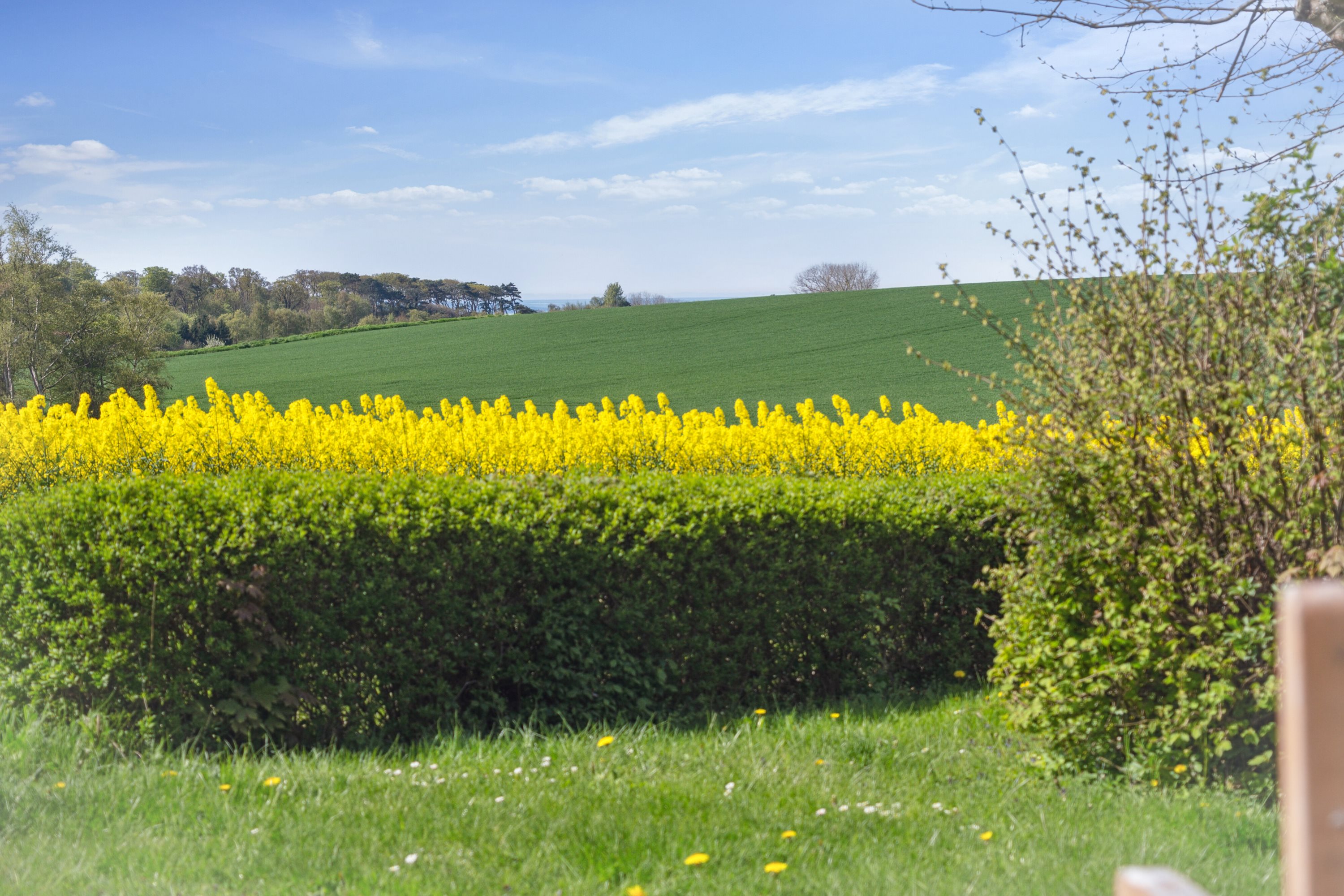 Fremhævet udendørs billede i fuldskærmstilstand. Billede af Drøsselbjergvej 45, Drøsselbjerg, 4200 Slagelse