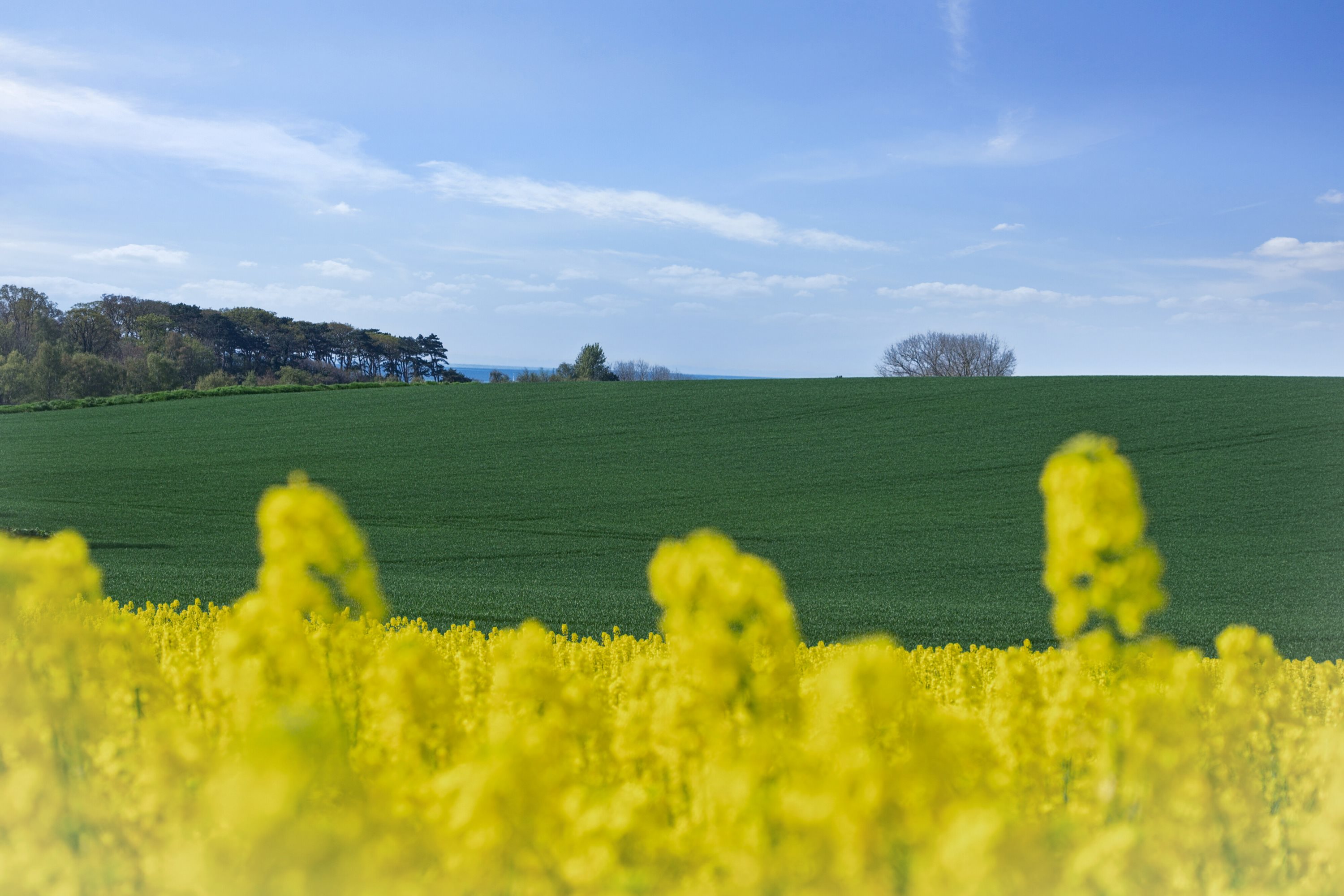 Fremhævet udendørs billede i fuldskærmstilstand. Billede af Drøsselbjergvej 45, Drøsselbjerg, 4200 Slagelse