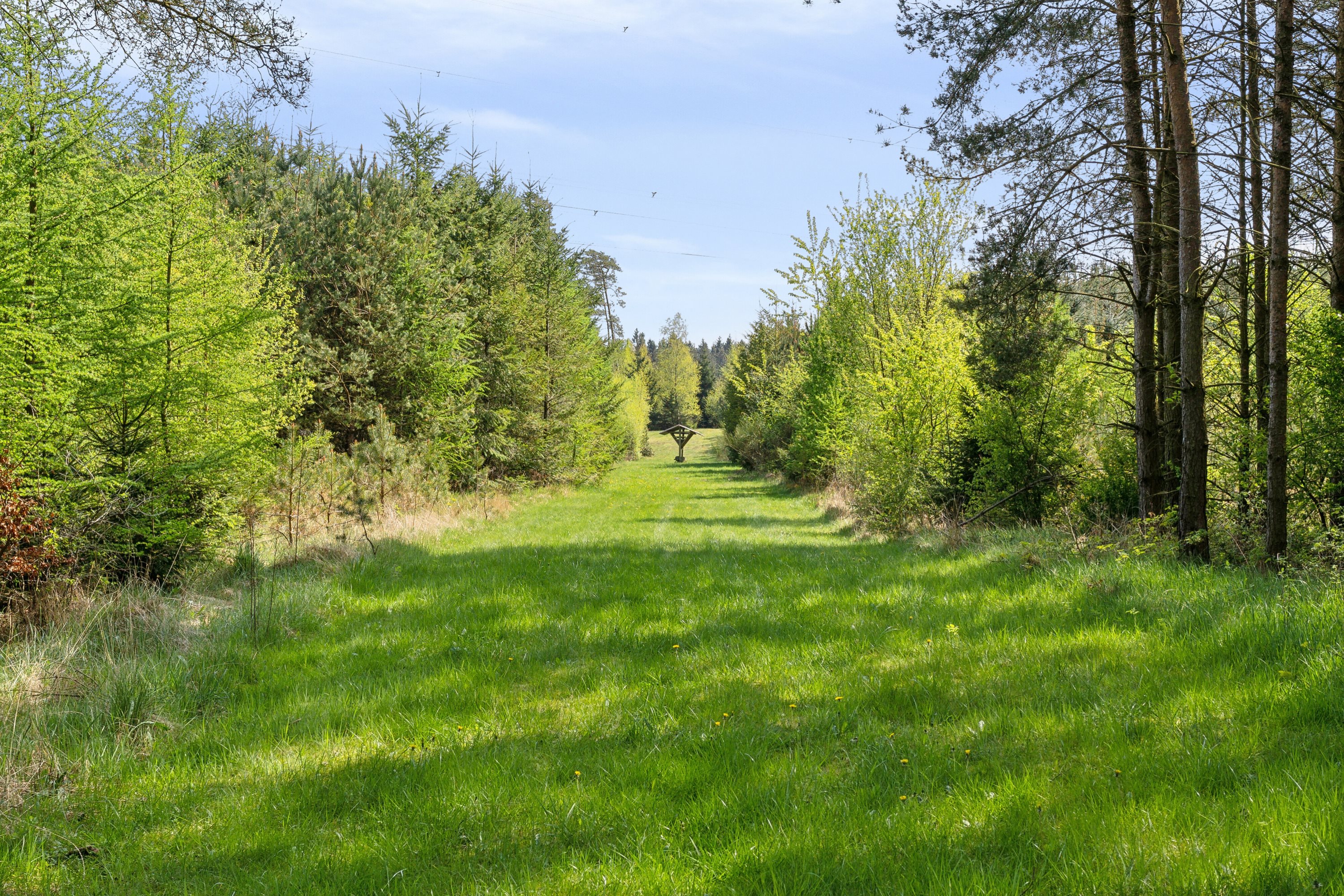 Fremhævet set fra haven billede i fuldskærmstilstand. Billede af Munkhøjvej 4, Lundfod, 7330 Brande
