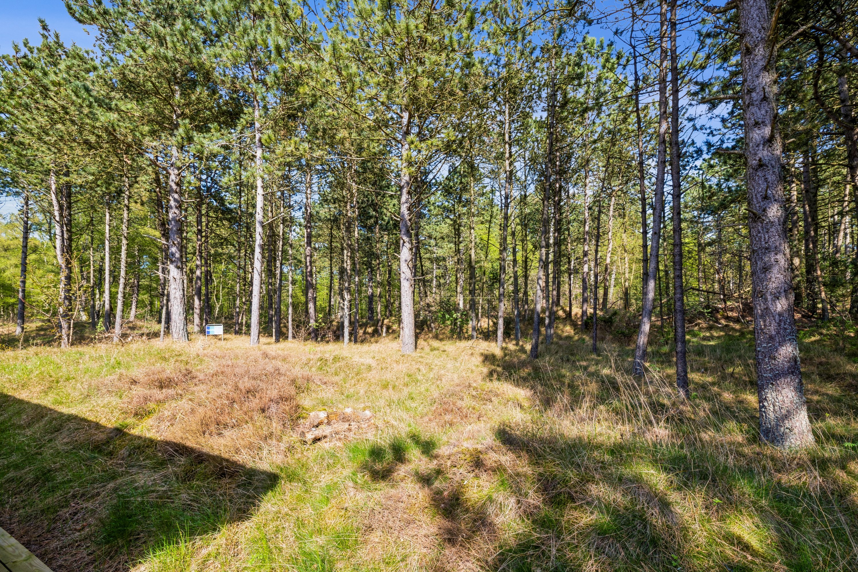Fremhævet andet billede i fuldskærmstilstand. Billede af Sortebærvej 26, Fuglsang Str, 8500 Grenaa