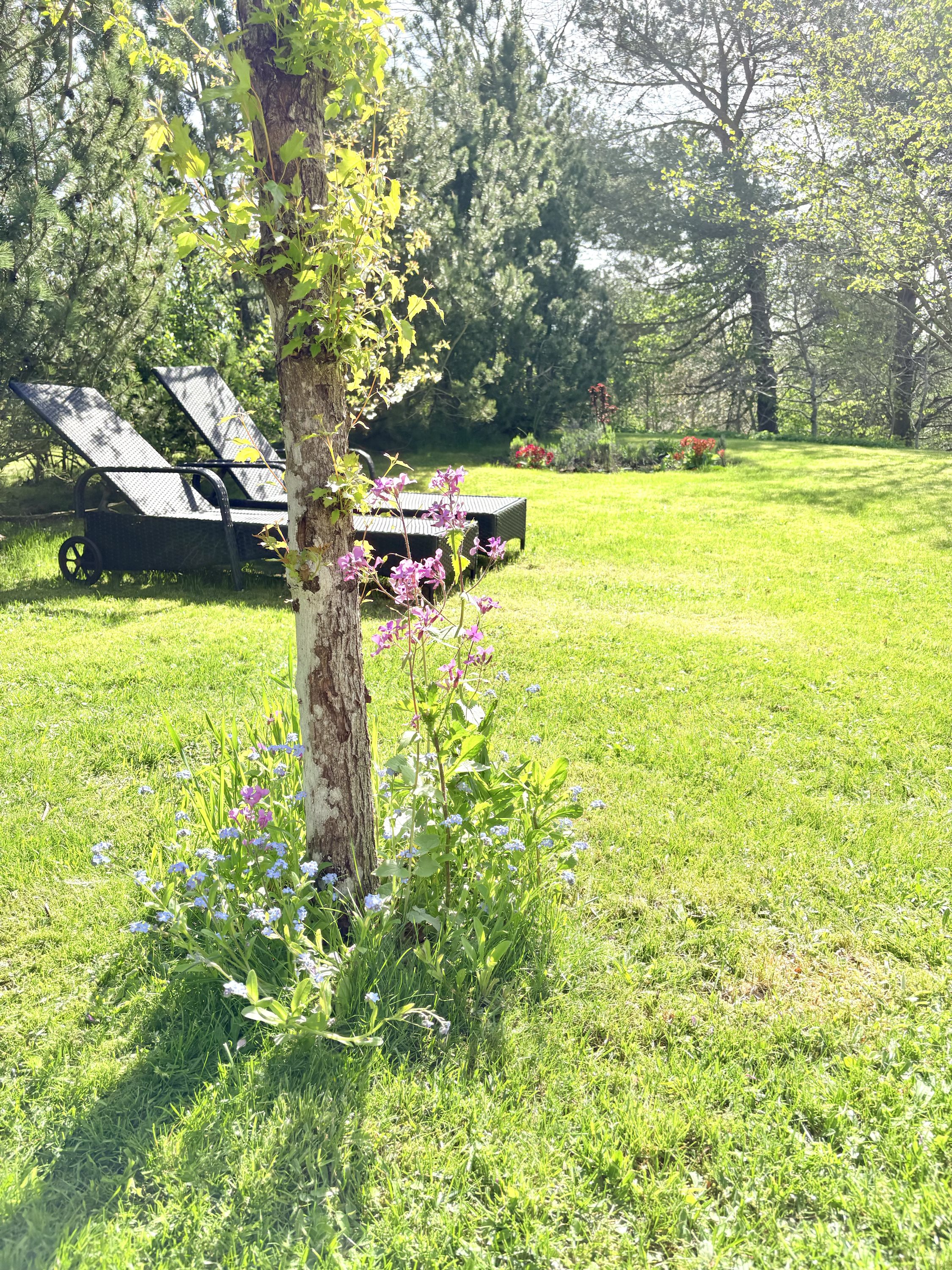 Fremhævet  billede i fuldskærmstilstand. Billede af Holmekollen 8, Voervadsbro, 8660 Skanderborg