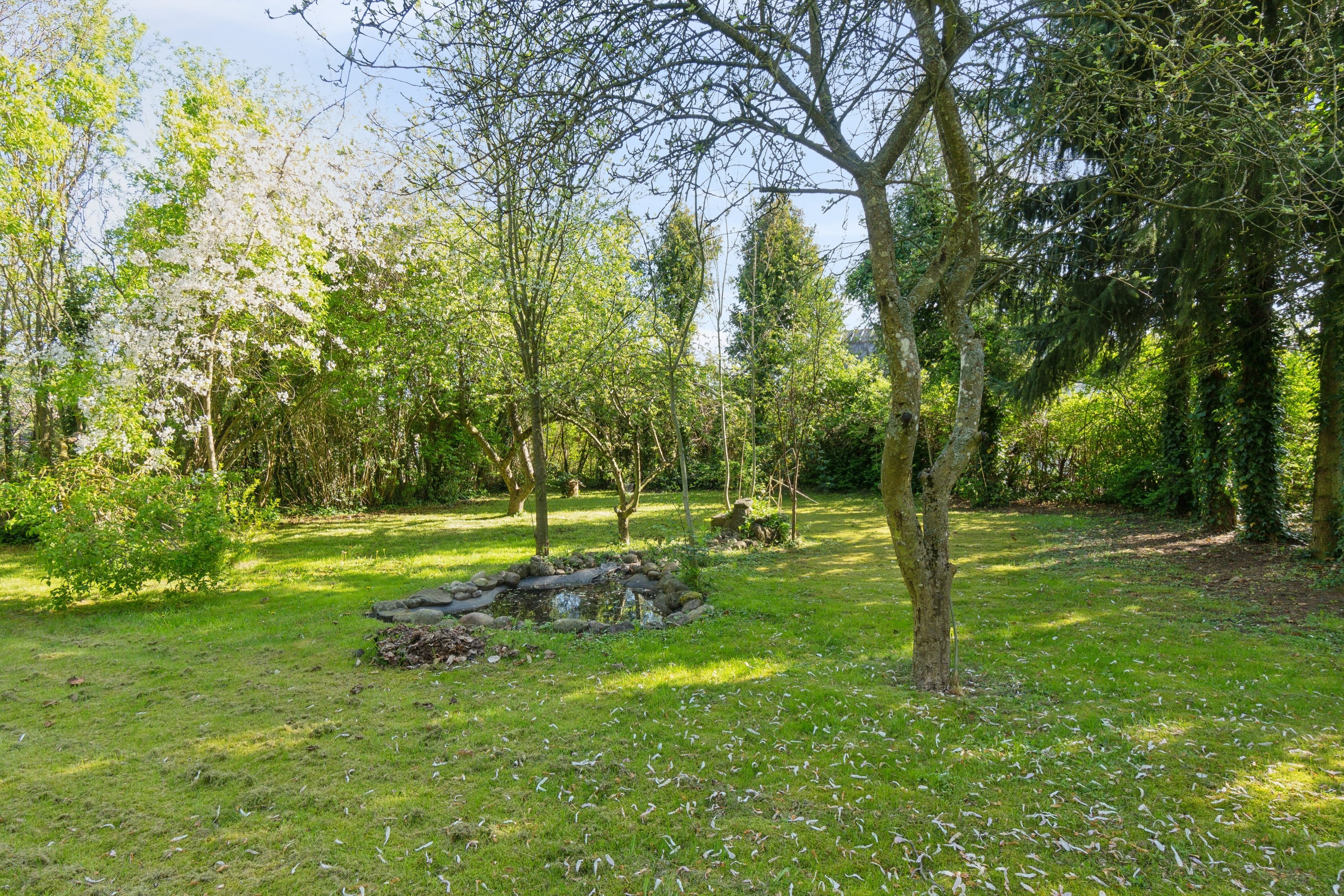 Fremhævet have billede i fuldskærmstilstand. Billede af Ved Gadekæret 7, Skibinge, 4720 Præstø