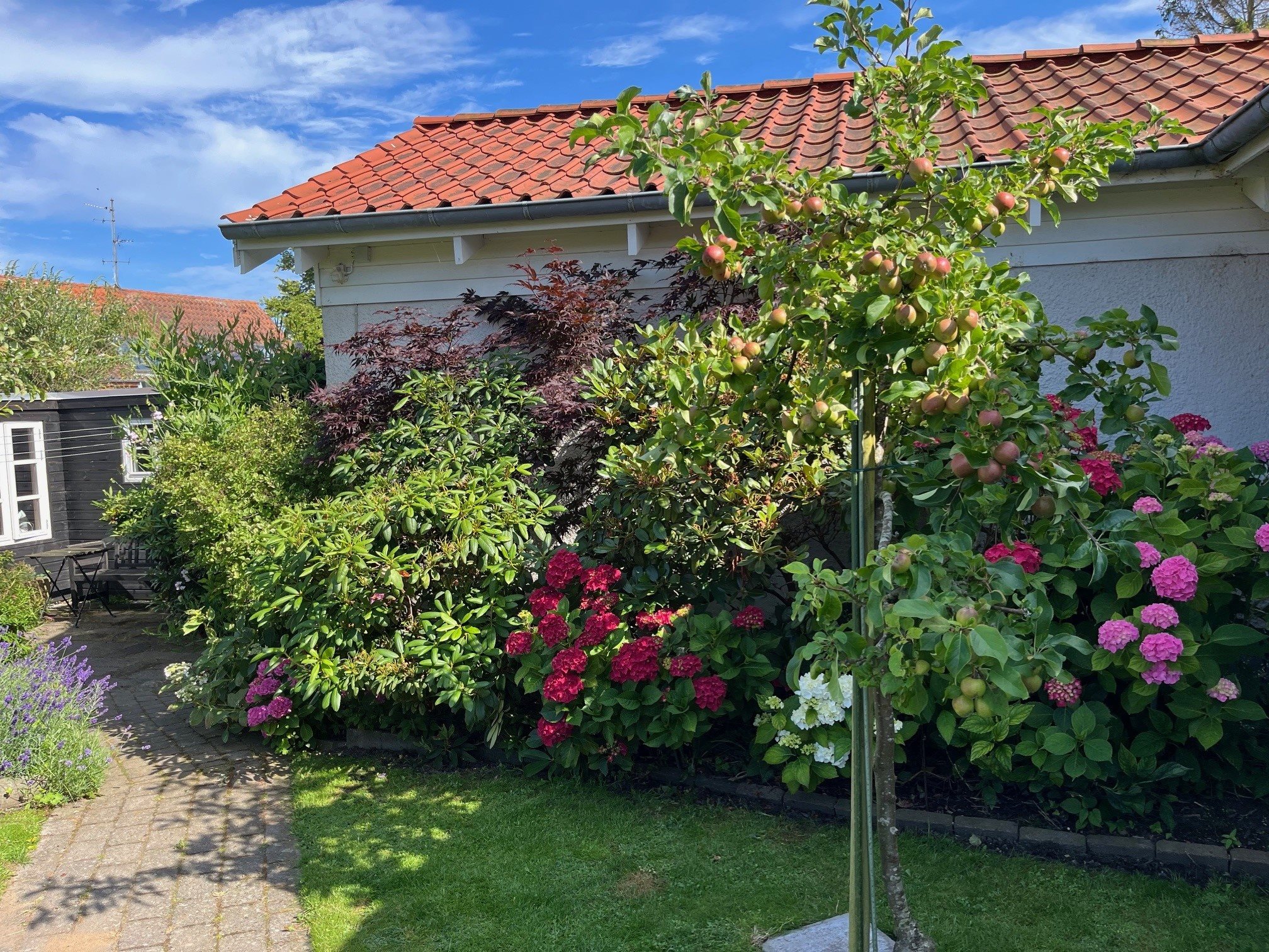 Fremhævet  billede i fuldskærmstilstand. Billede af Skolevænget 2, Hou, 8300 Odder