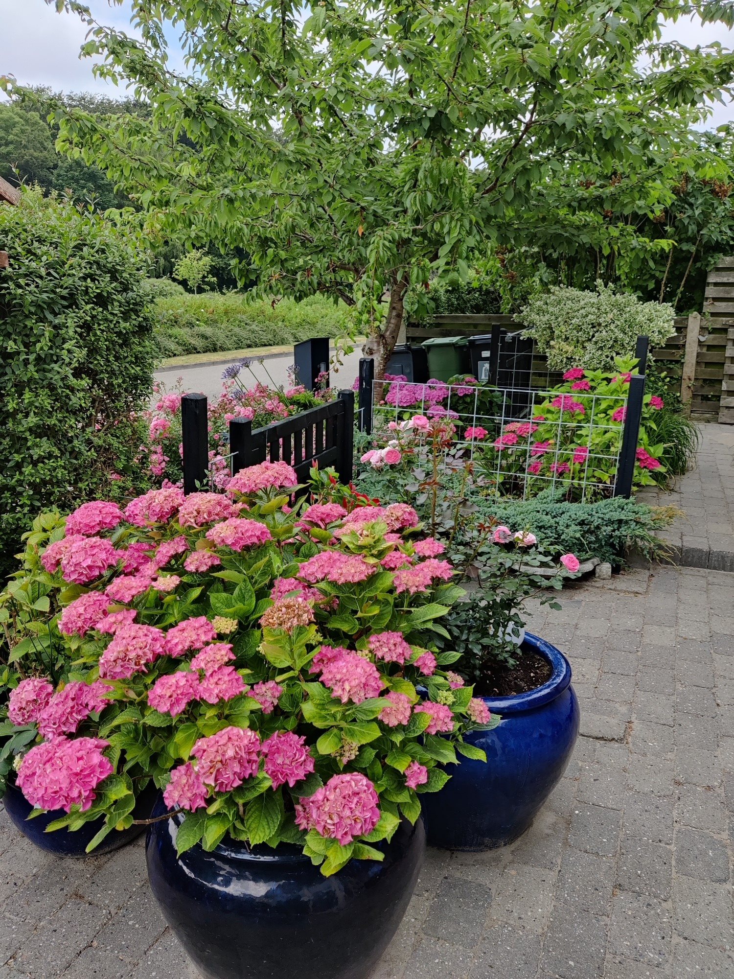 Fremhævet  billede i fuldskærmstilstand. Billede af Skolevænget 2, Hou, 8300 Odder