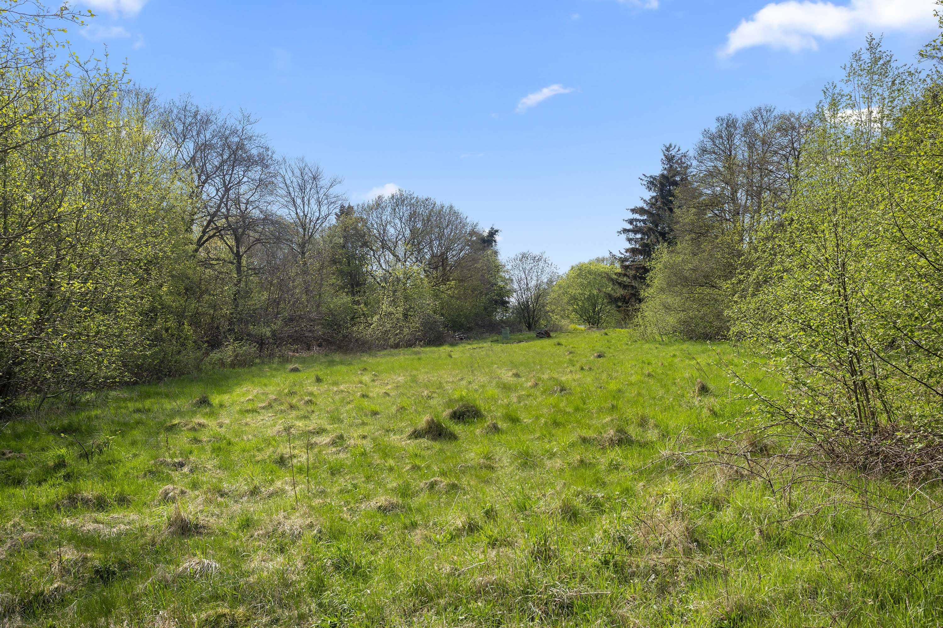 Fremhævet have billede i fuldskærmstilstand. Billede af Volstruphedevej 22, 9300 Sæby