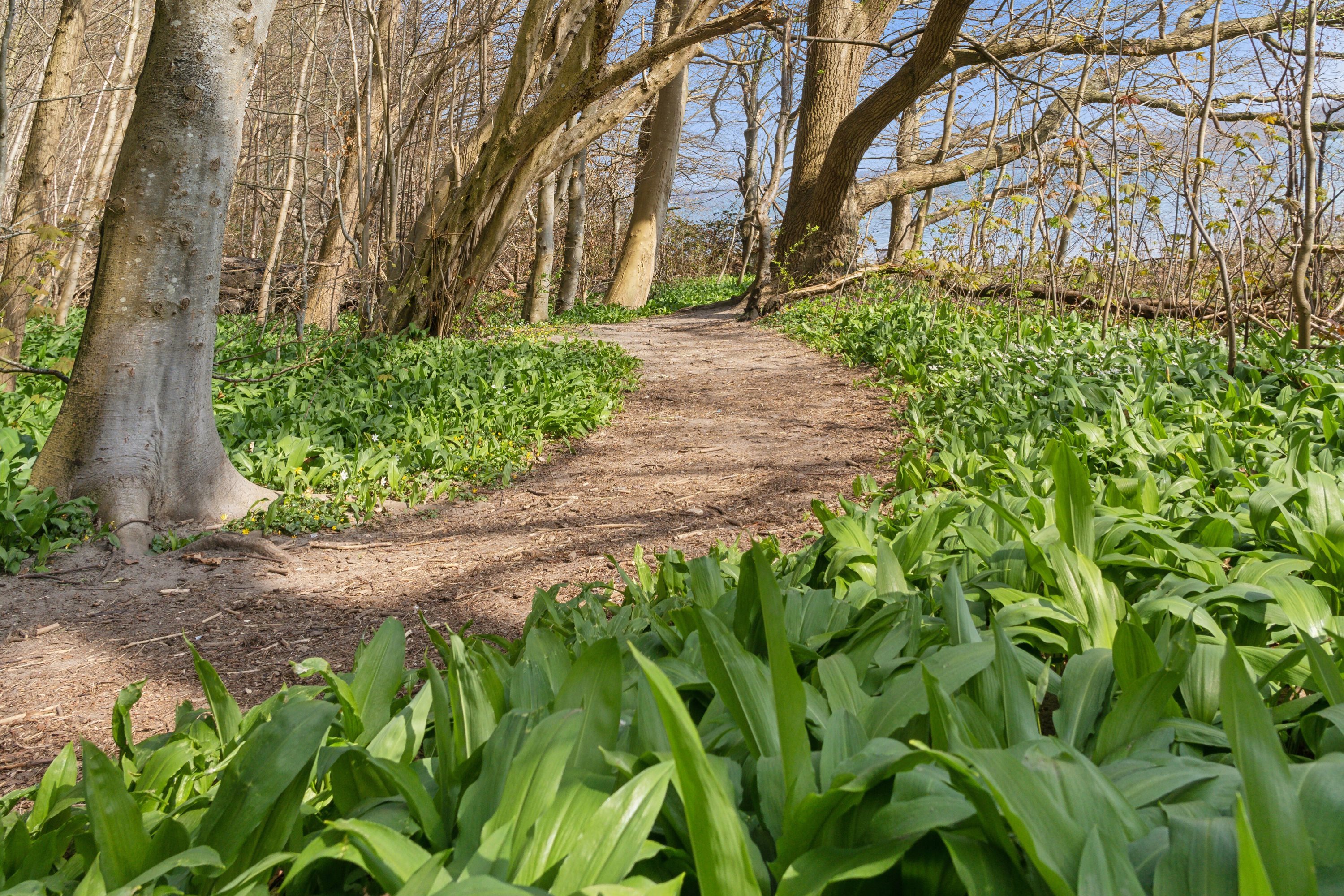 Fremhævet  billede i fuldskærmstilstand. Billede af Granvænget 5, 5700 Svendborg